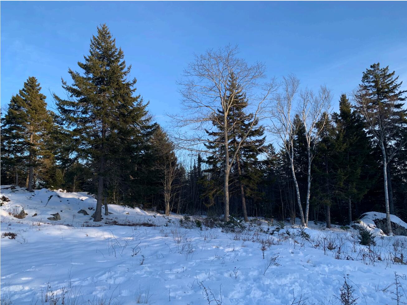 Lot 8 Ledgewood Drive