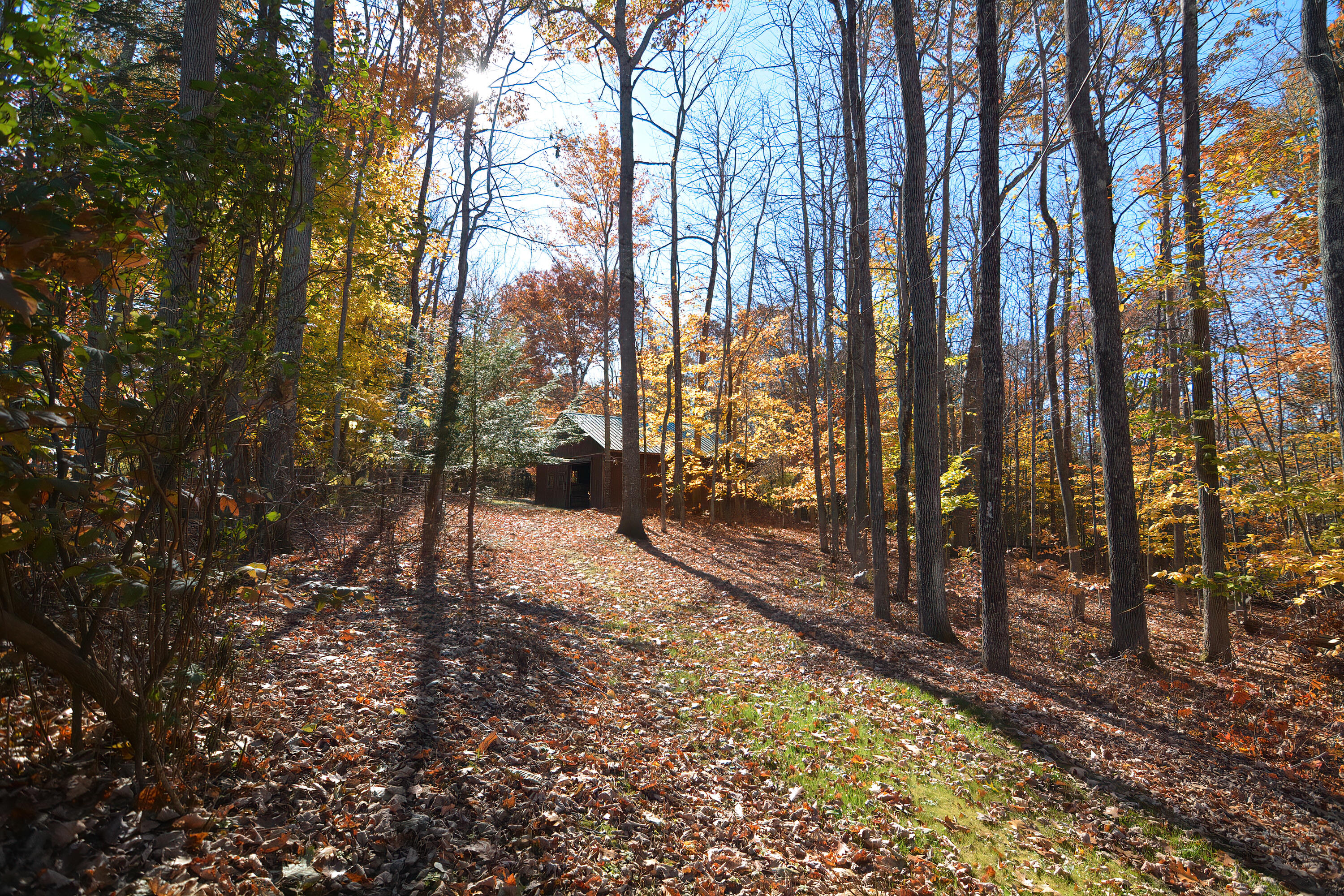 166 Carlton Pond Road