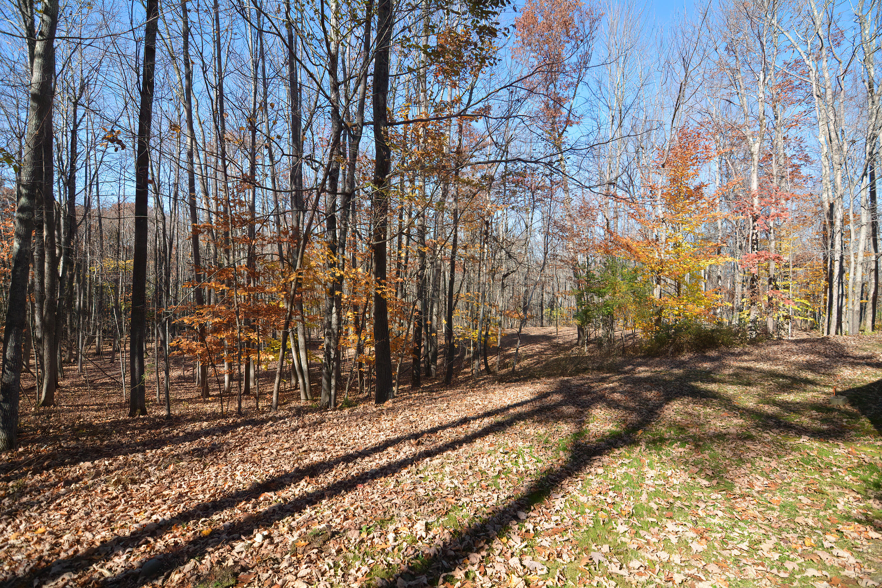 166 Carlton Pond Road