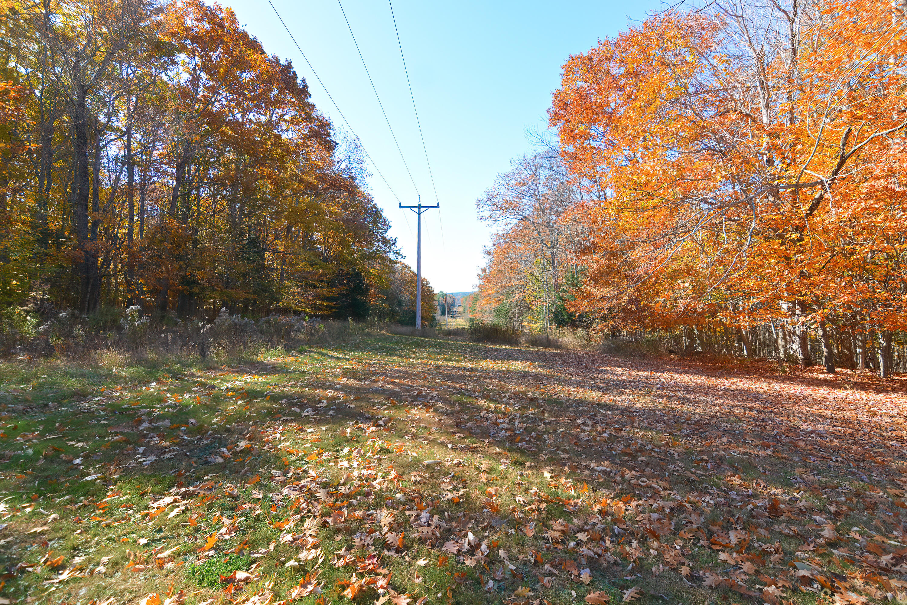 166 Carlton Pond Road