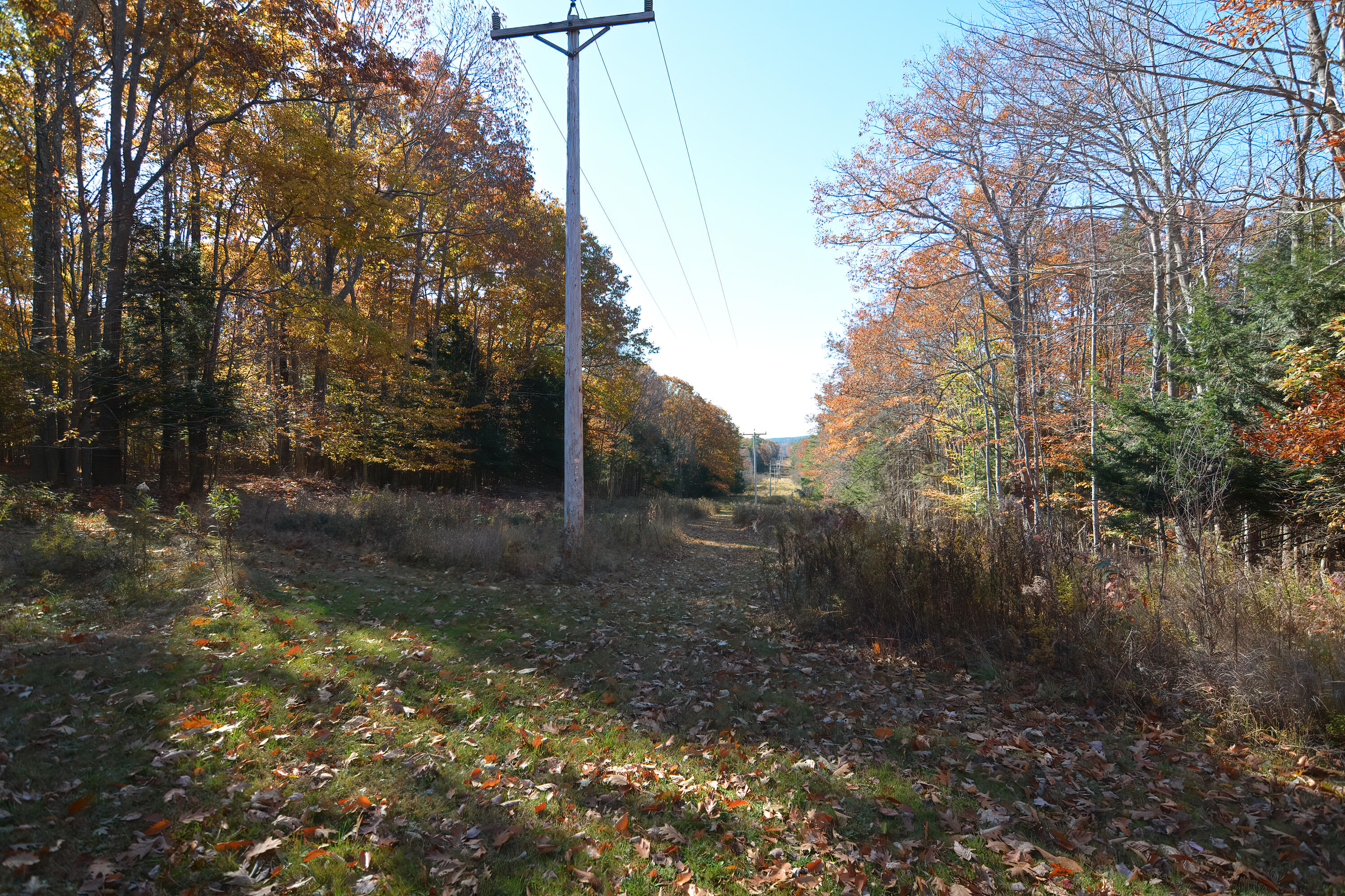 166 Carlton Pond Road