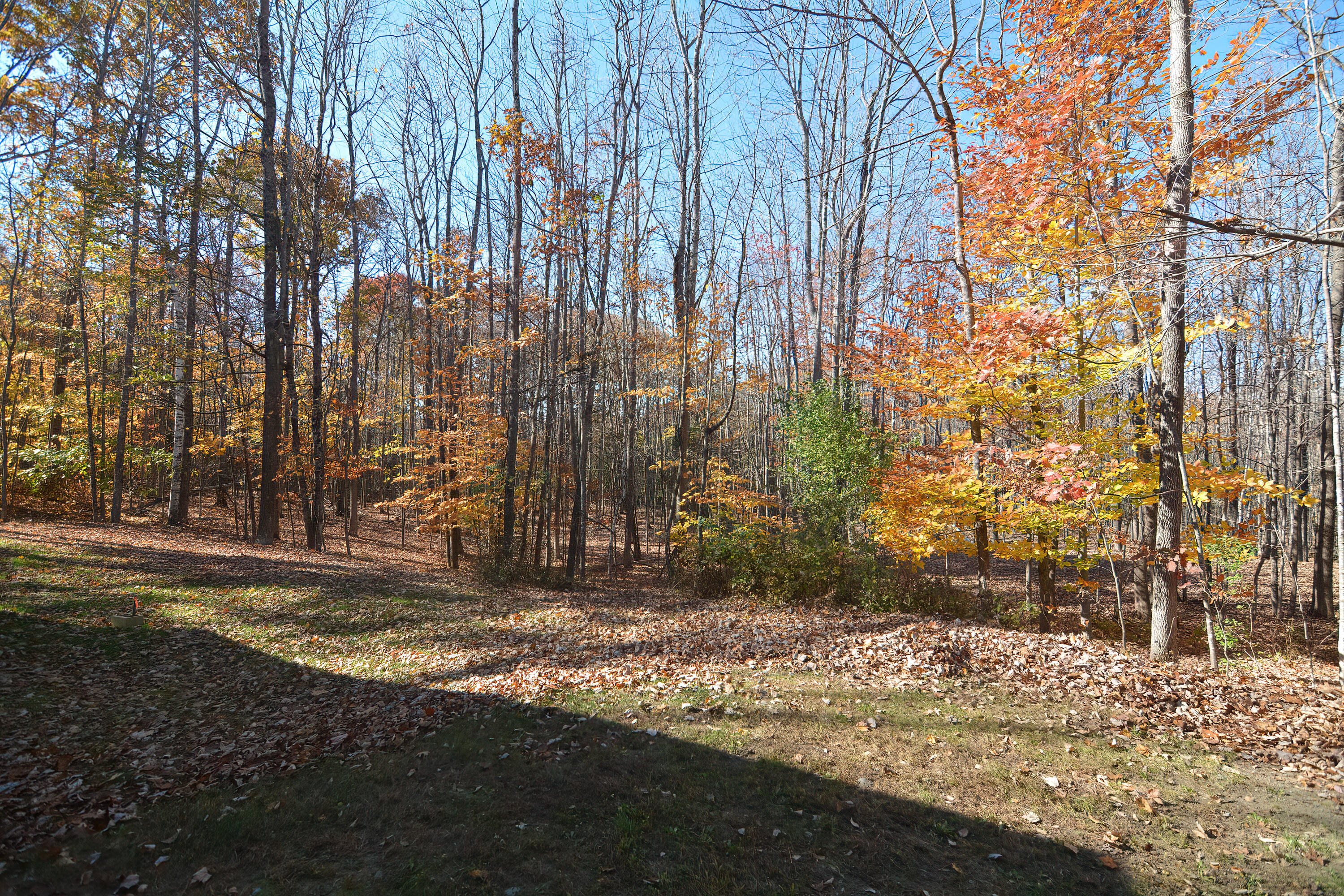 166 Carlton Pond Road