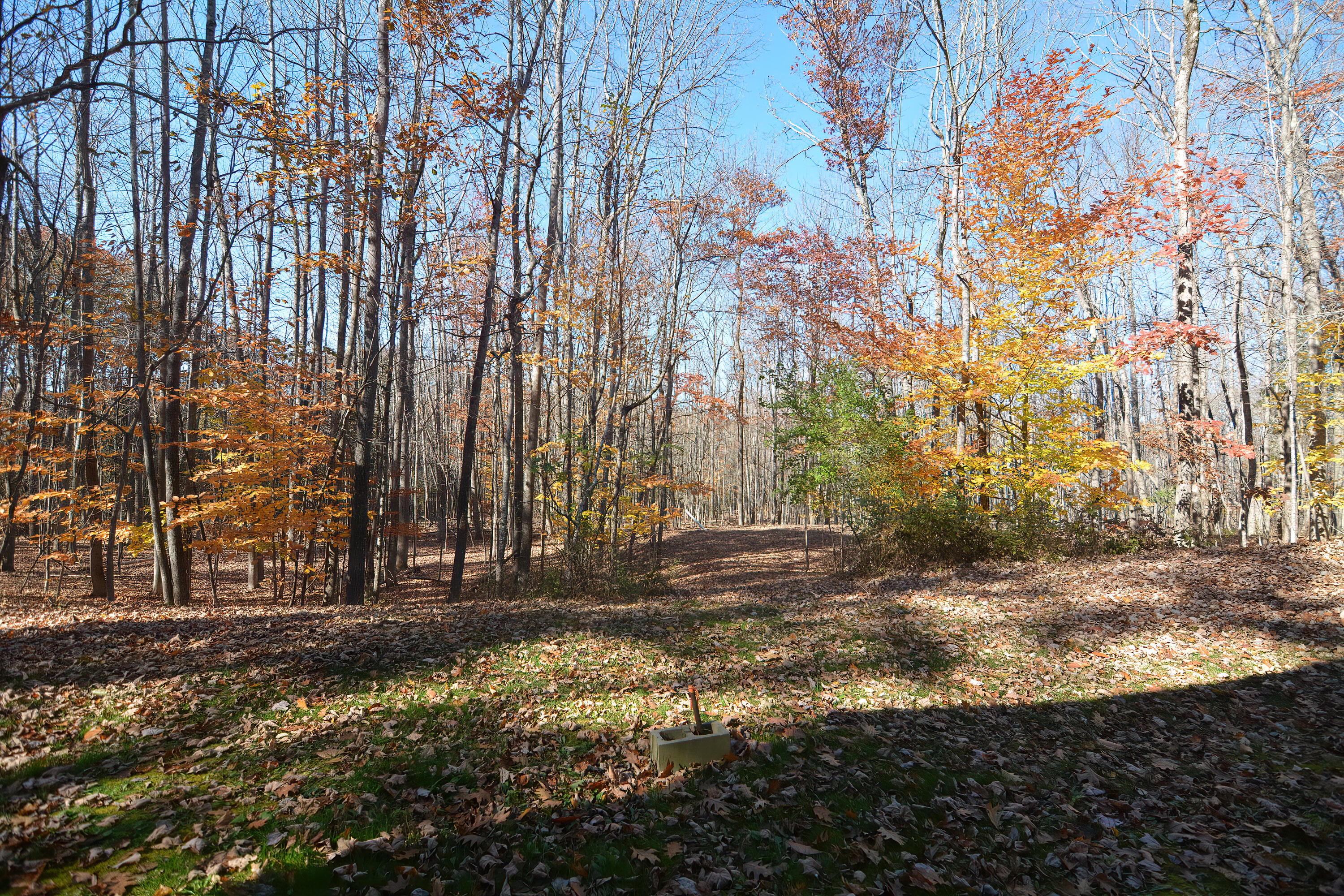 166 Carlton Pond Road