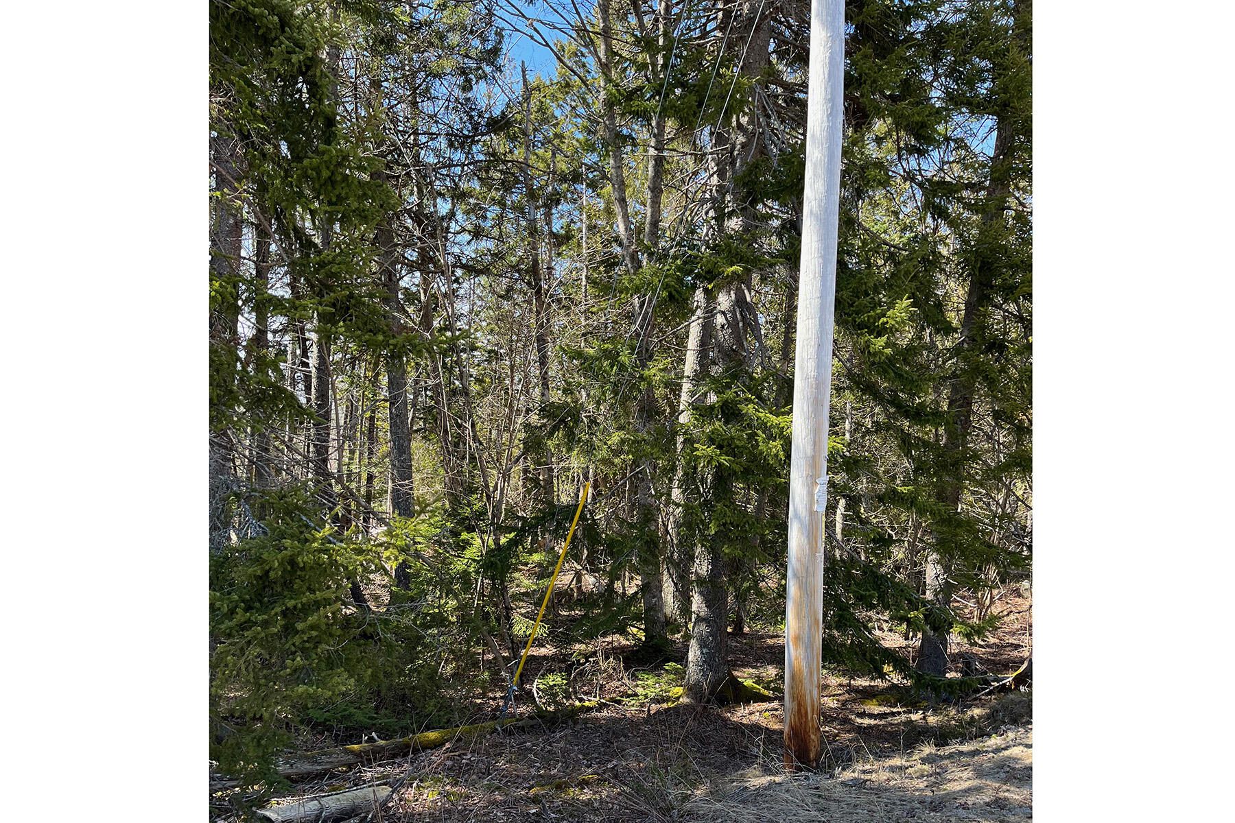 341 Summer Harbor Road