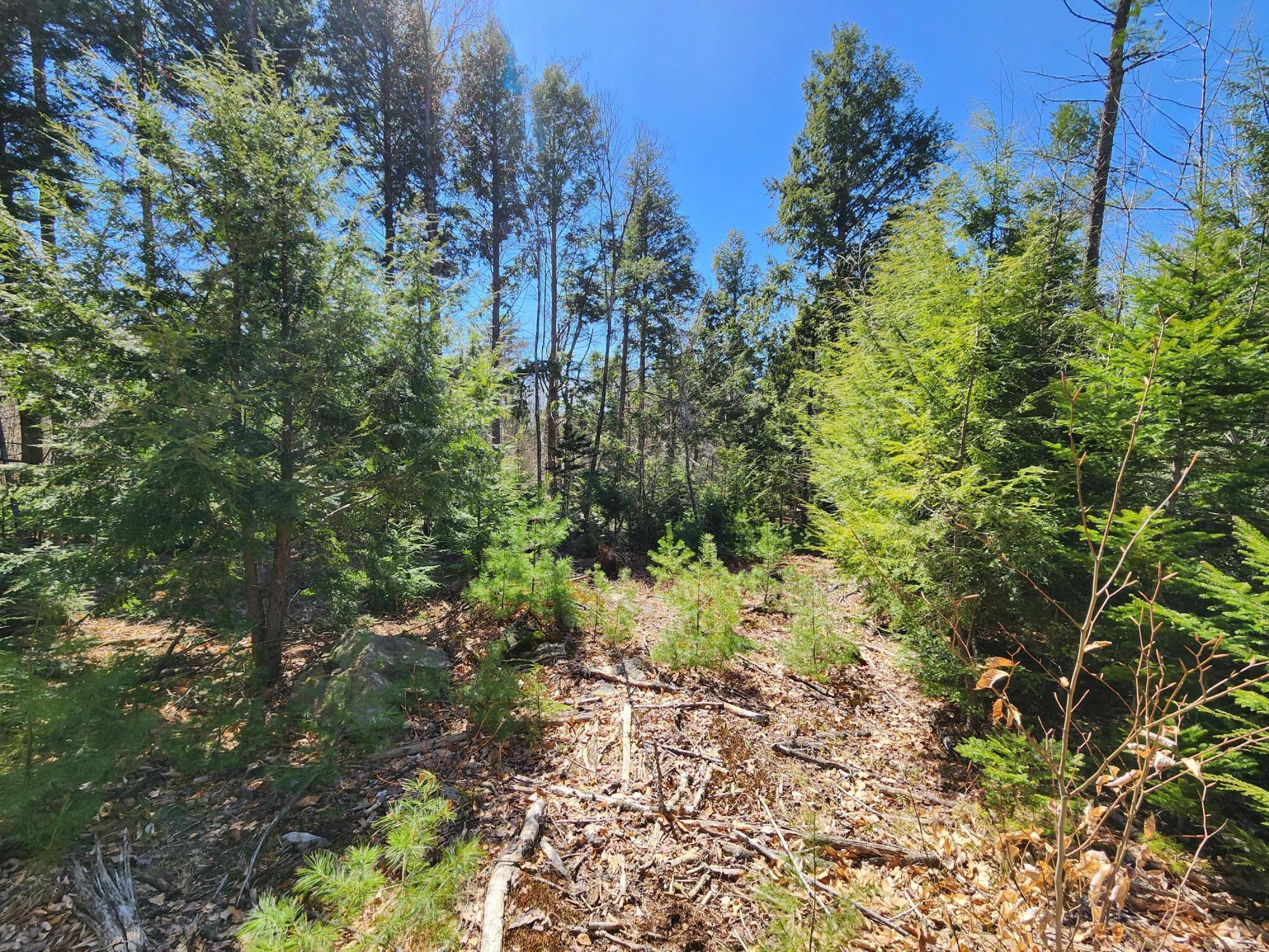 99 E East Neck Road
