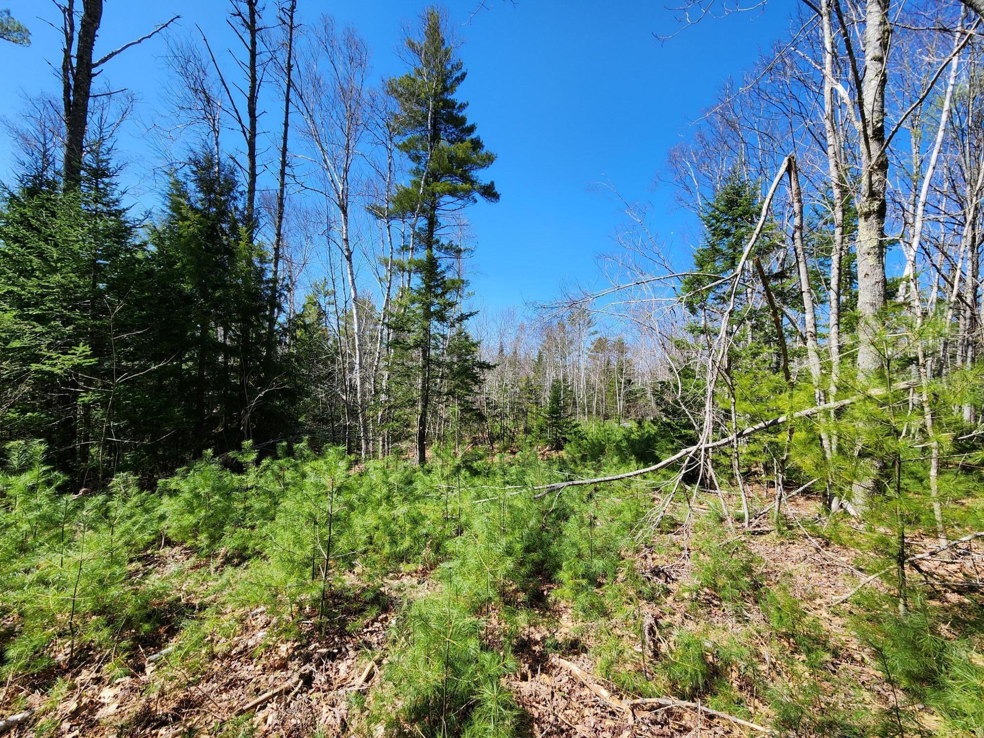 99 E East Neck Road