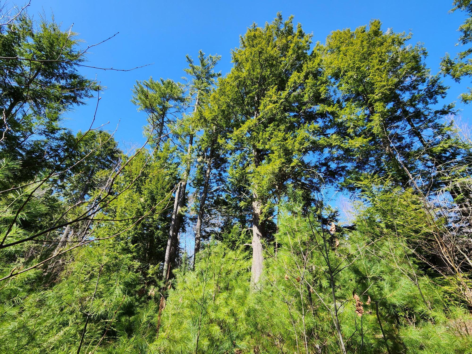 99 E East Neck Road