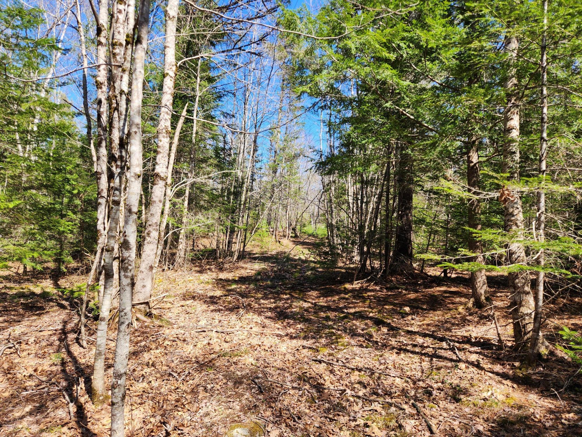 99 E East Neck Road