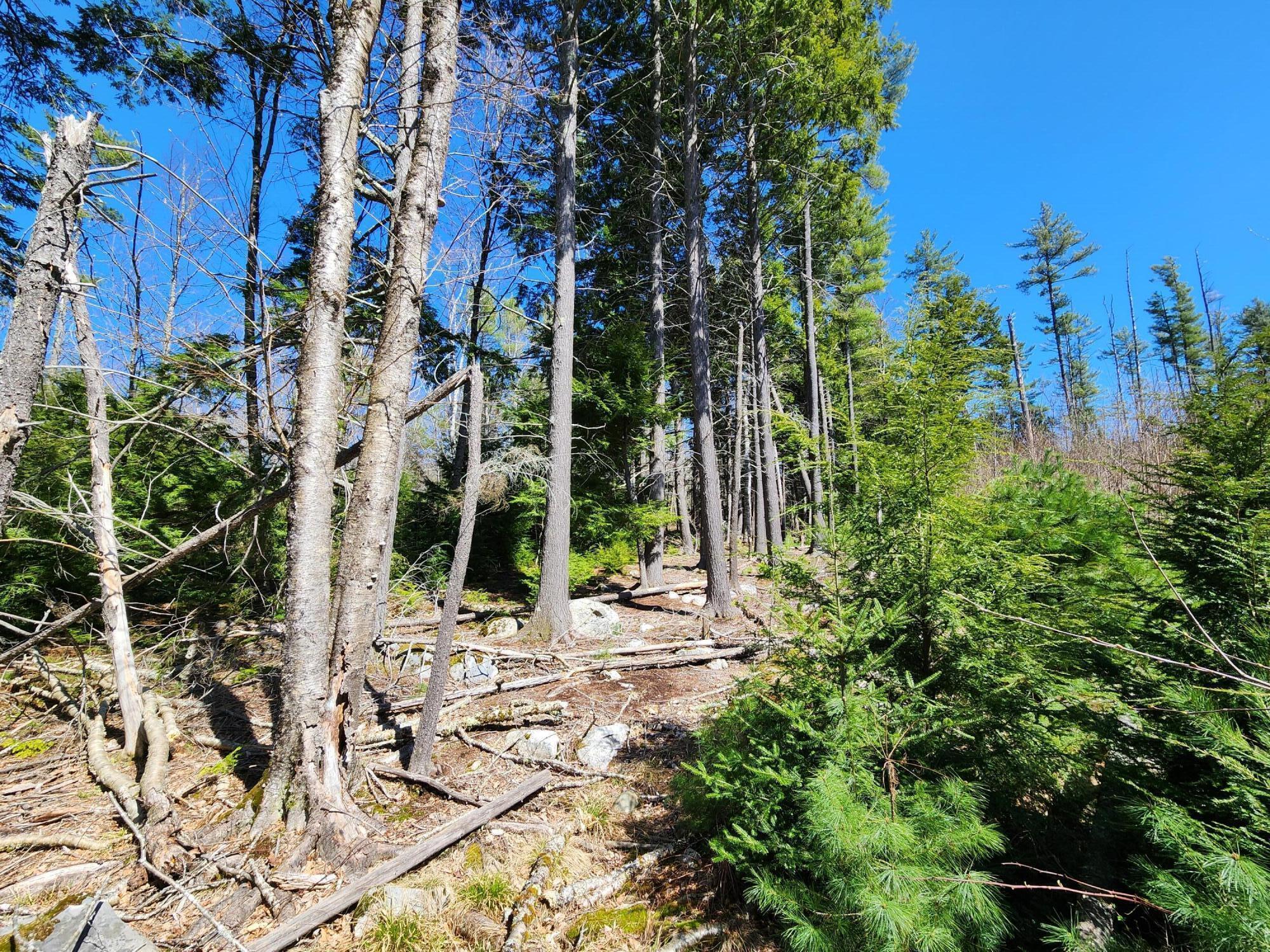 99 E East Neck Road