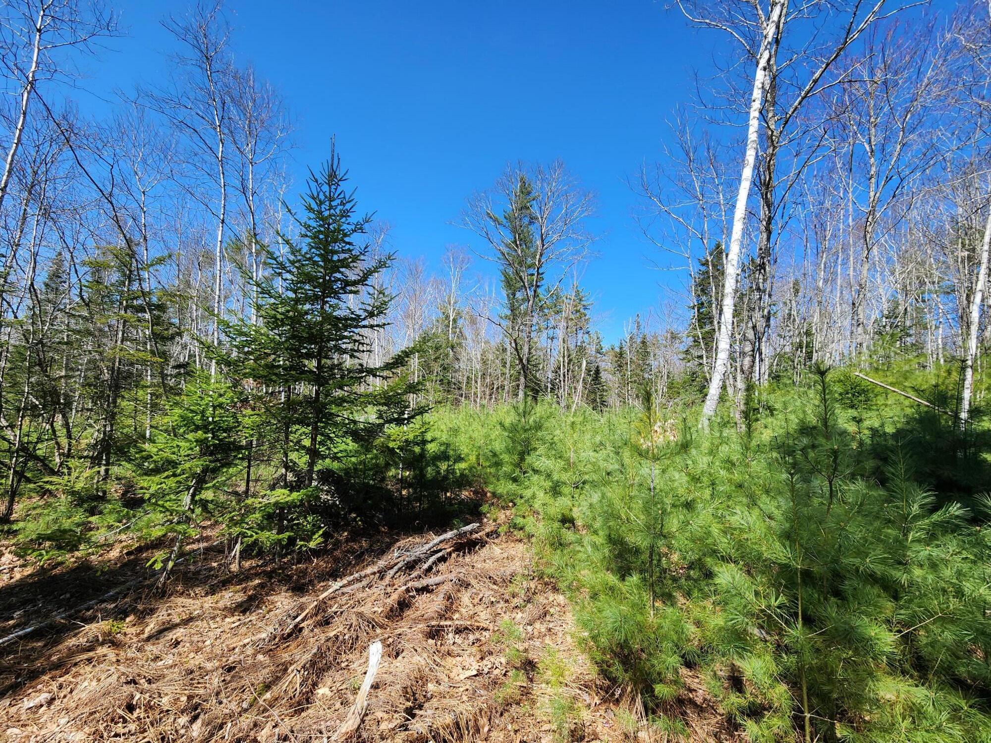 99 E East Neck Road