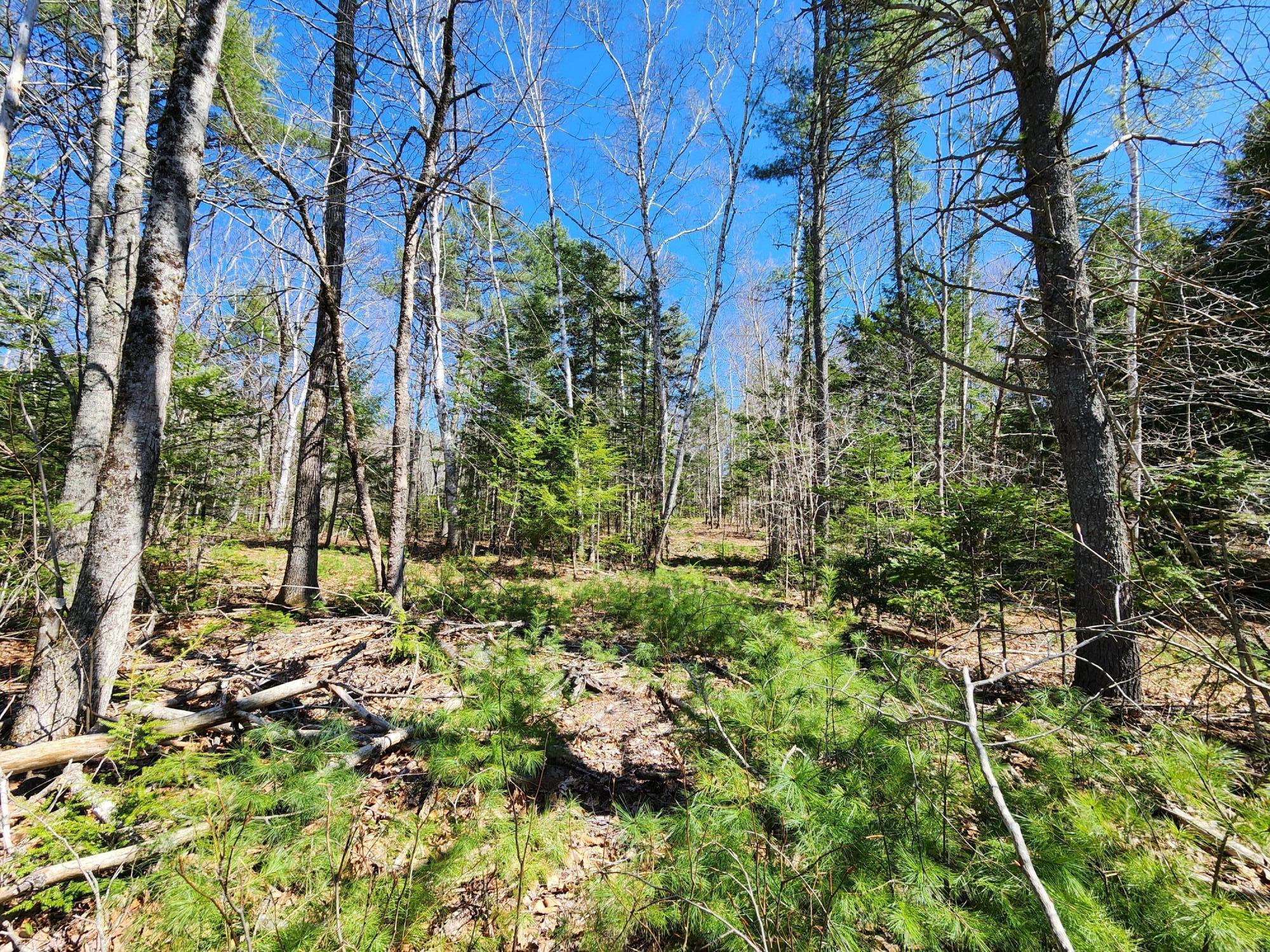 99 E East Neck Road