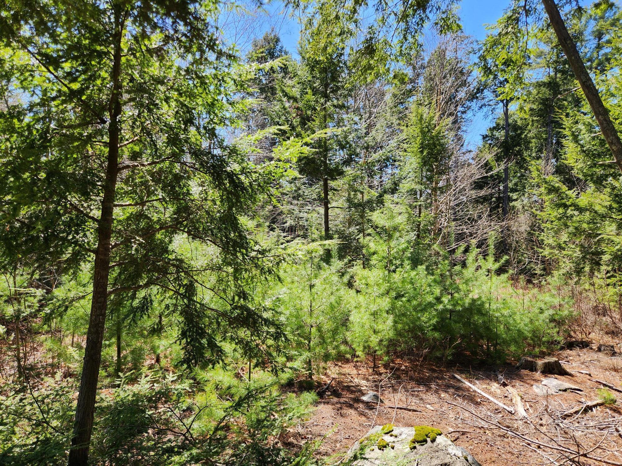 99 E East Neck Road
