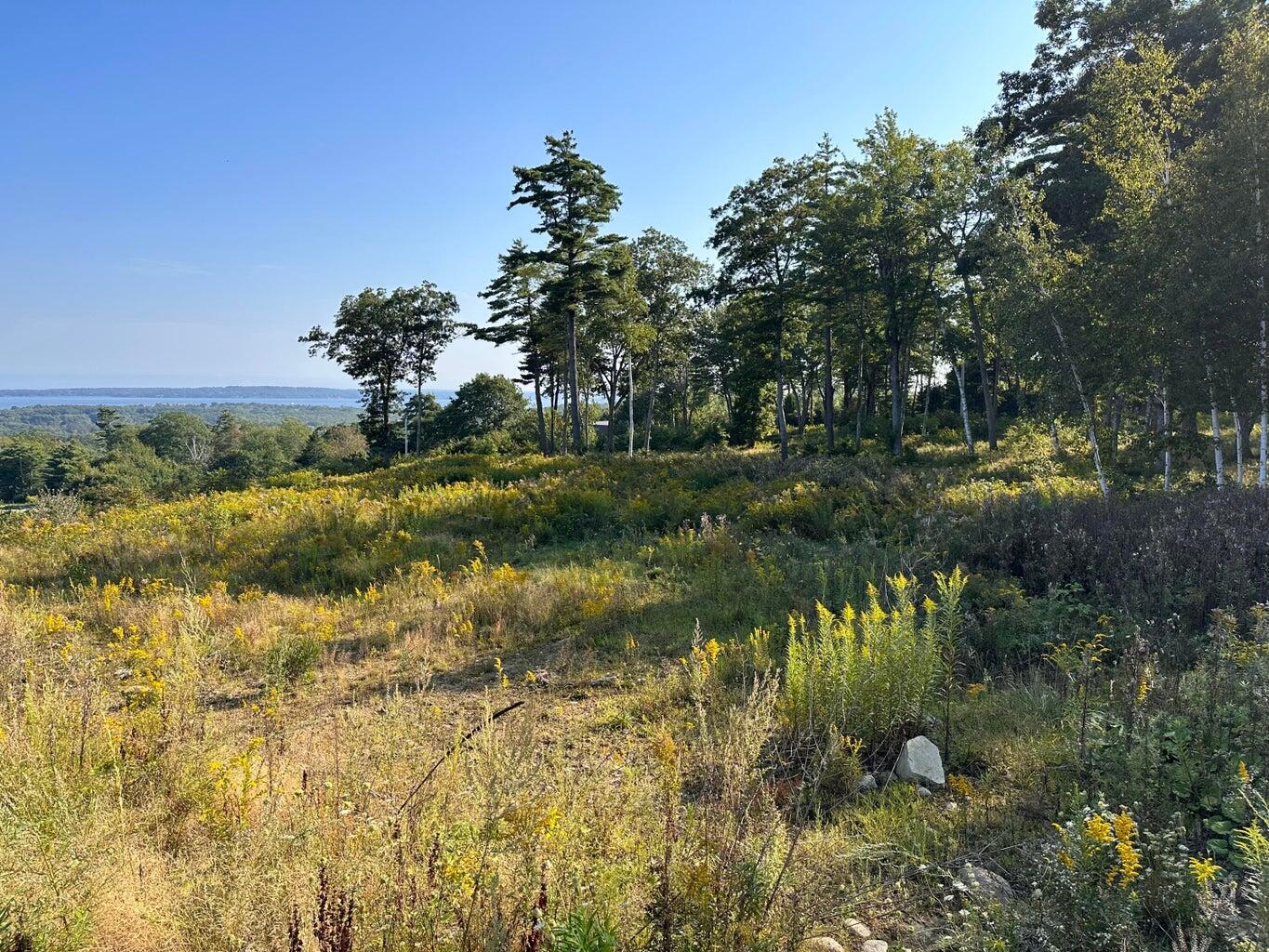 12 Lexington Lane