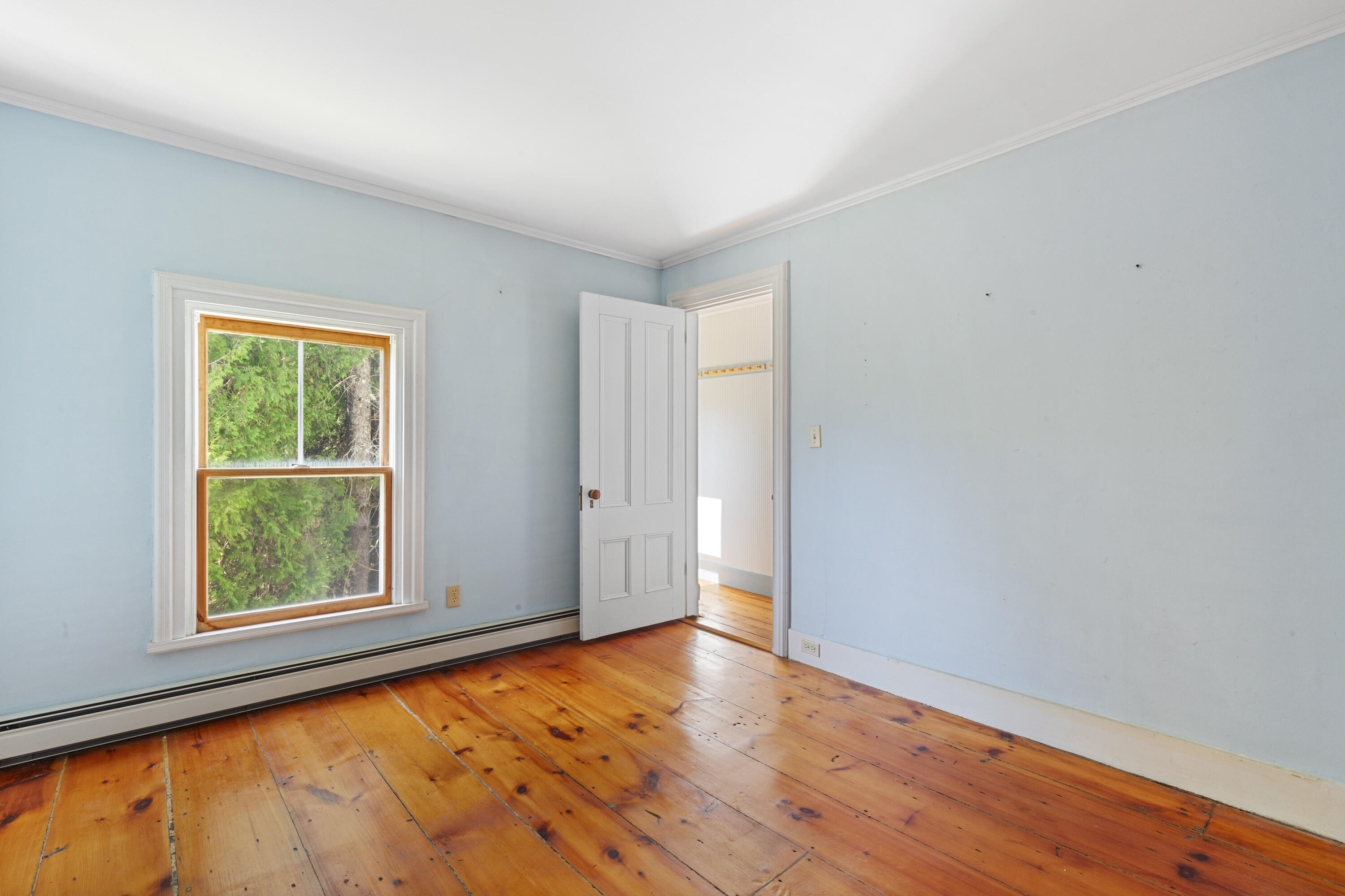 44 Pascal Avenue