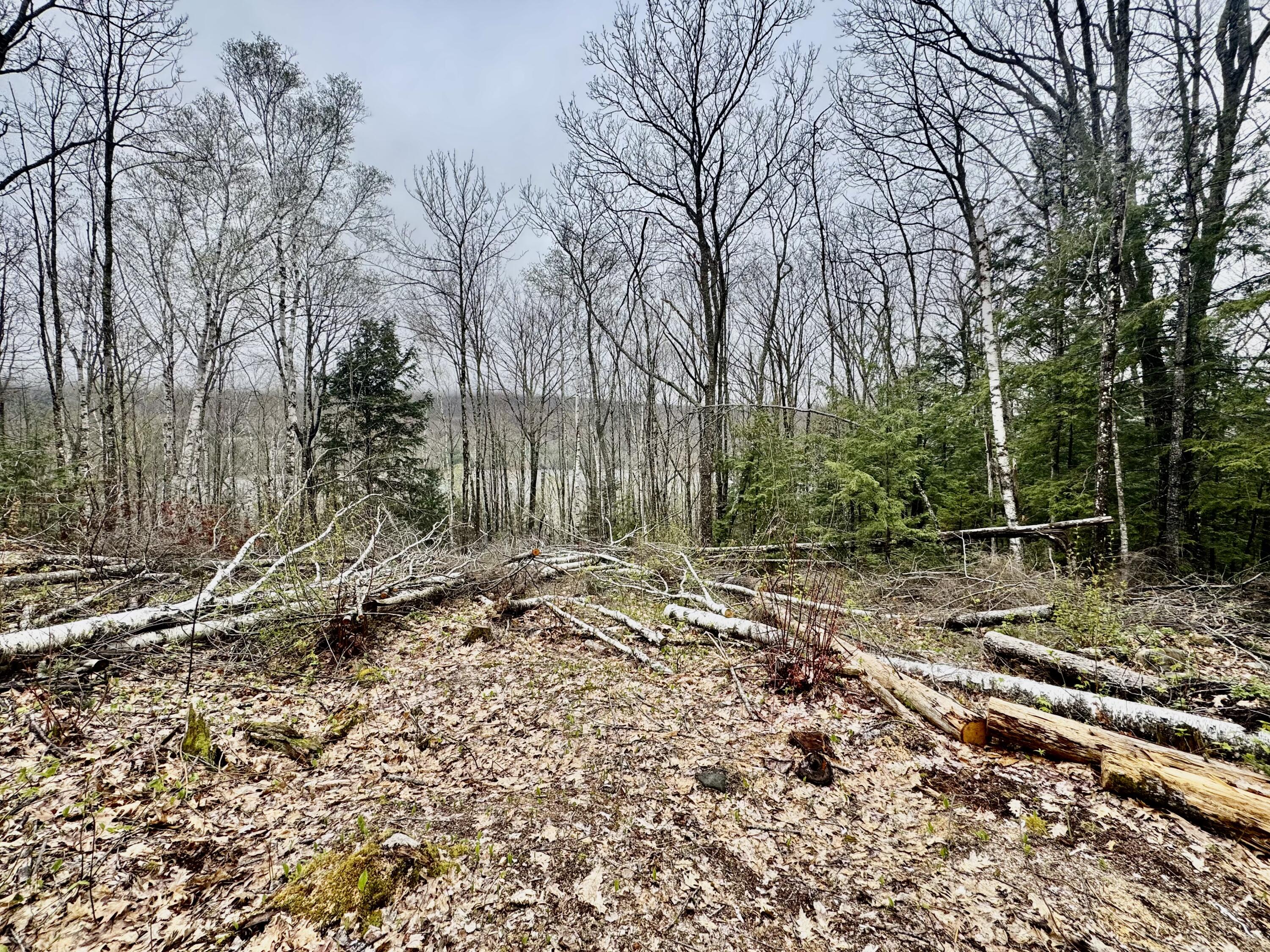1429 Canada Road