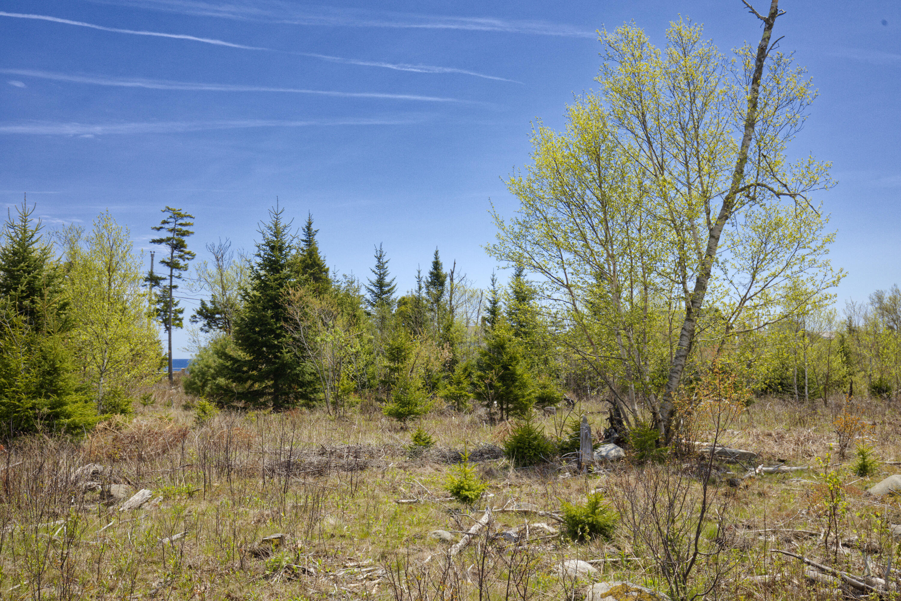 Lot 0 Clover Road