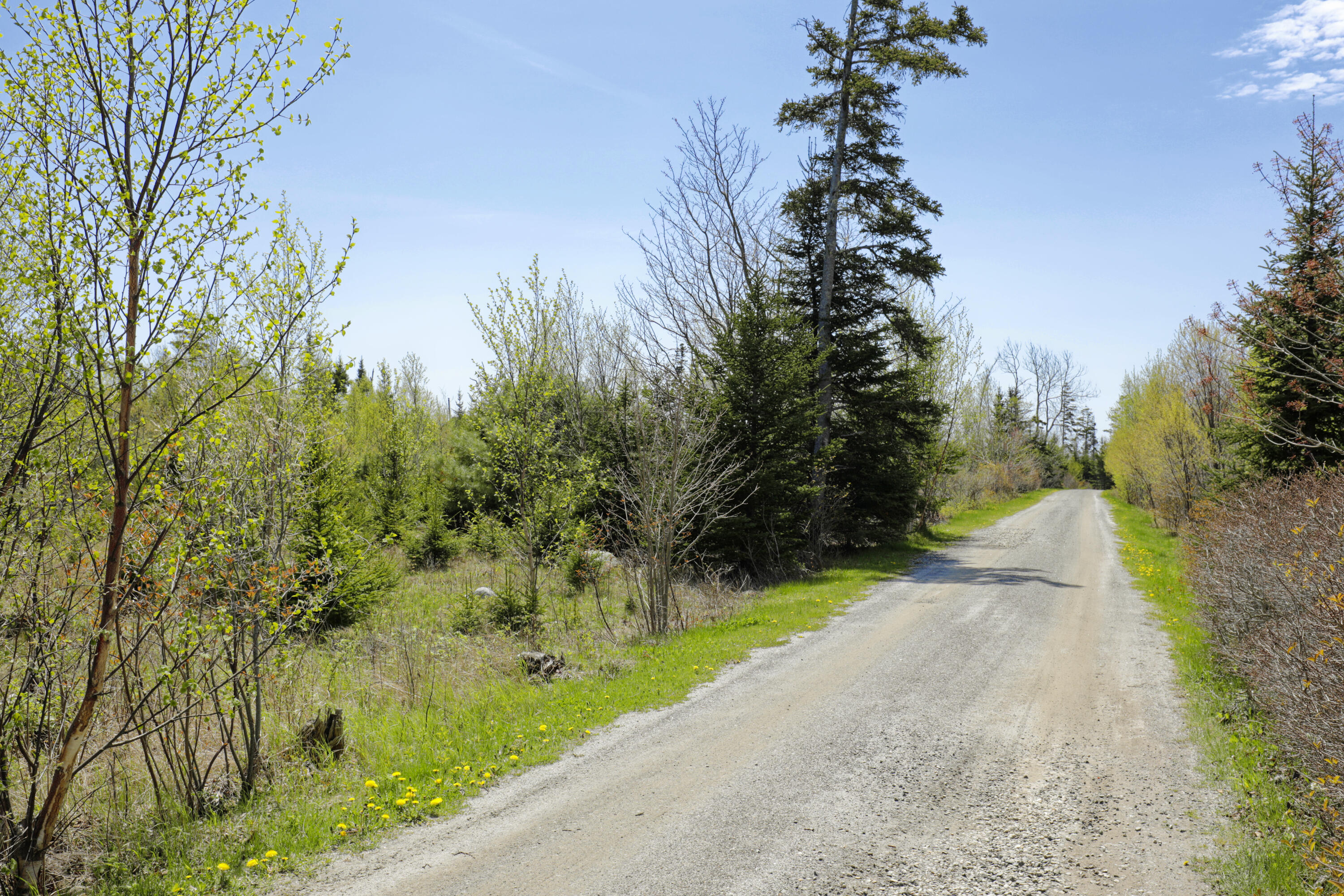 Lot 0 Clover Road