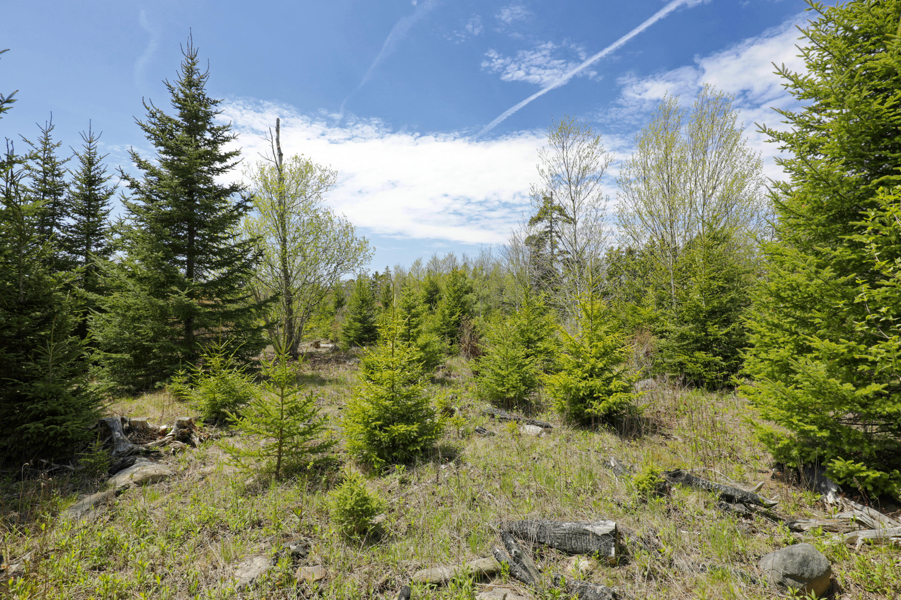 Lot 0 Clover Road