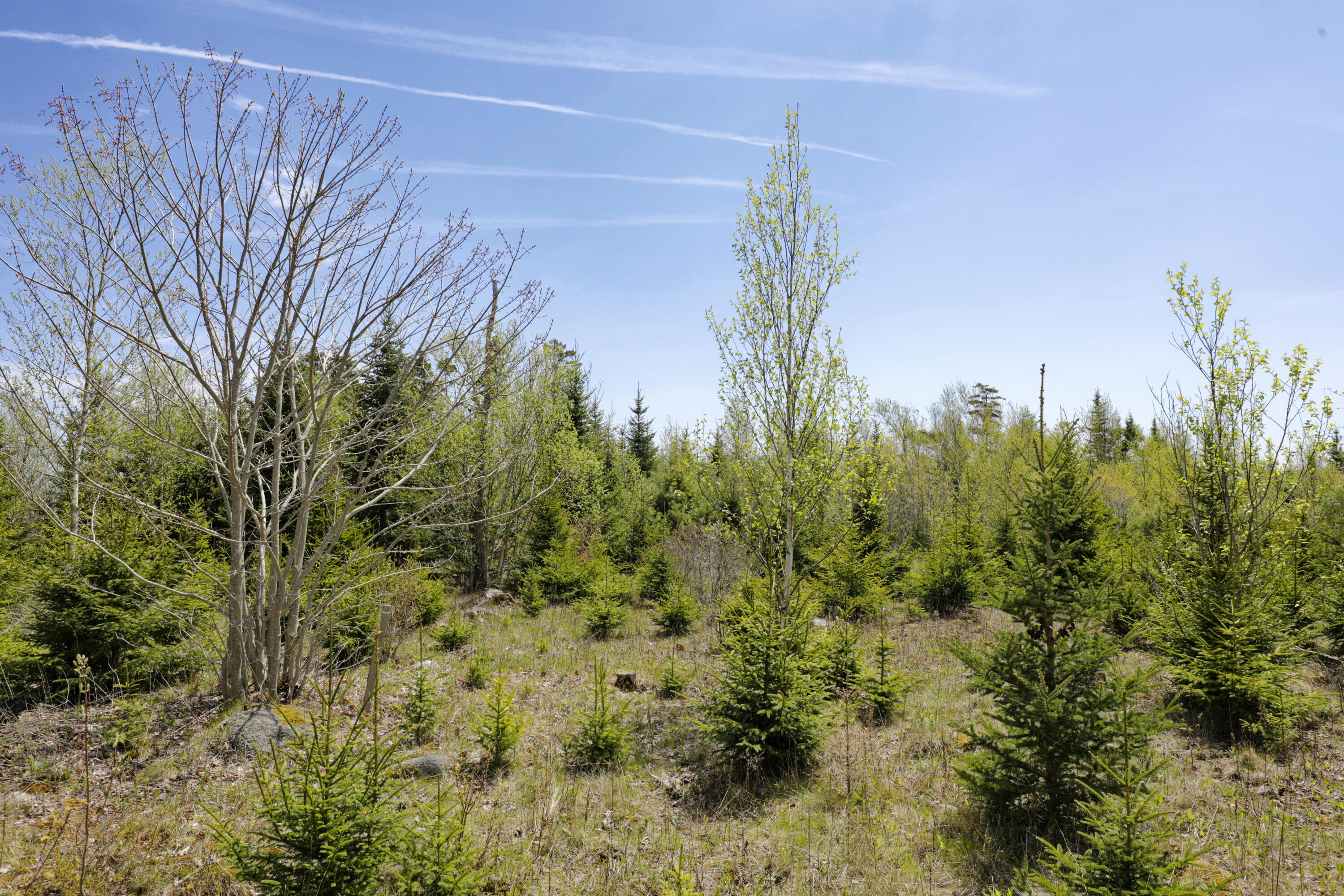 Lot 0 Clover Road