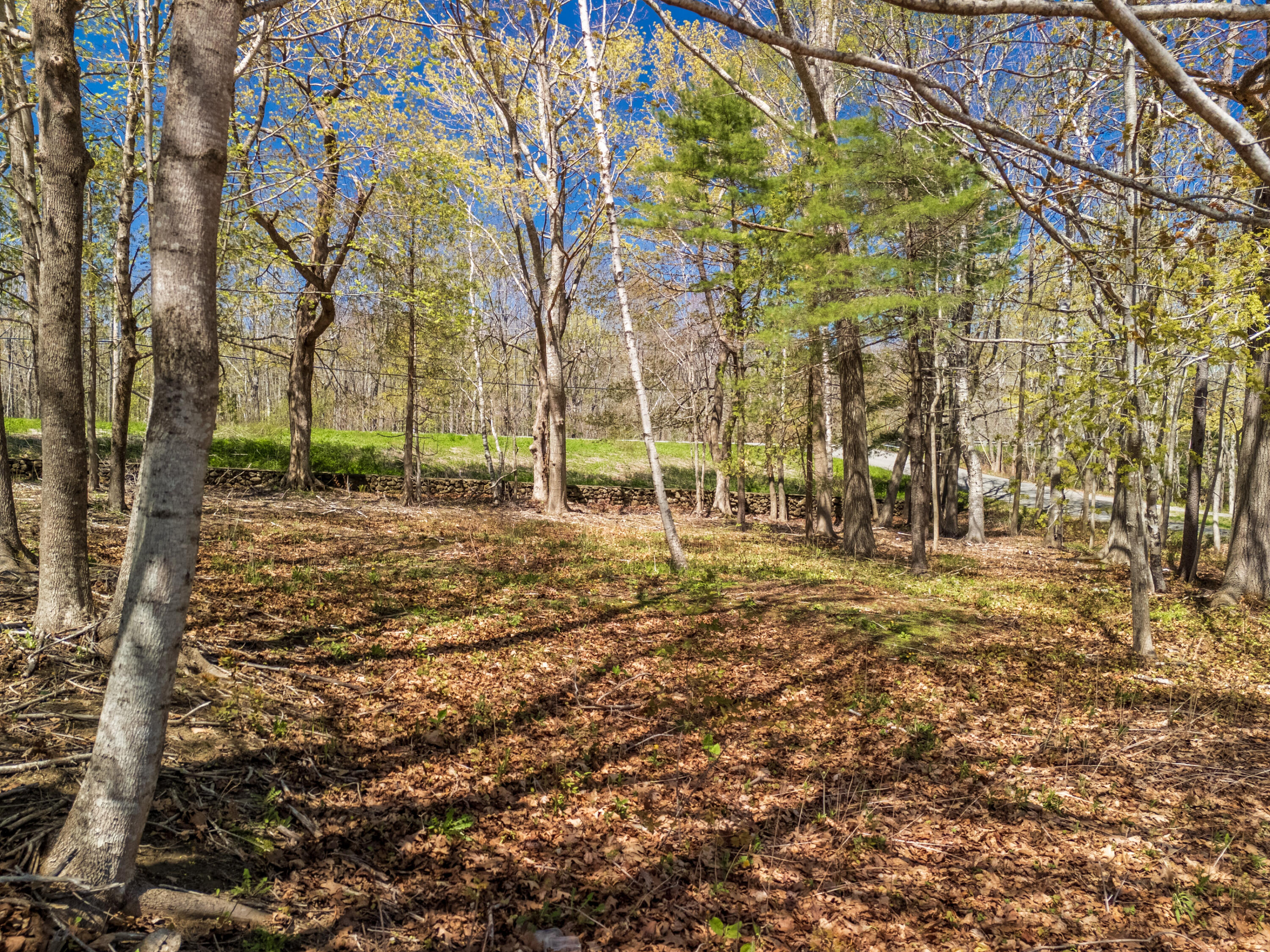 Lot 1 Roxmont Road