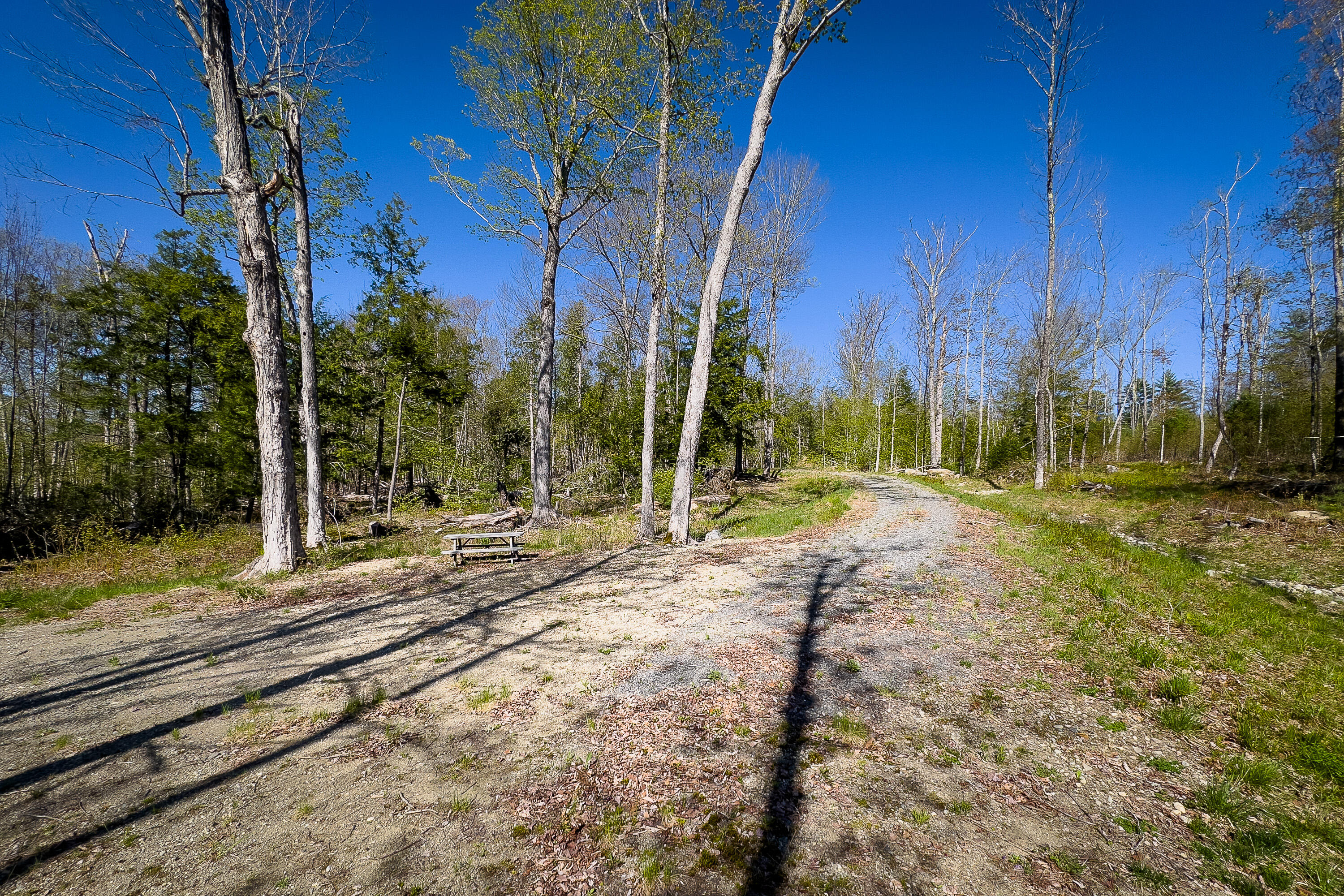 Lot 1E Dunn Road
