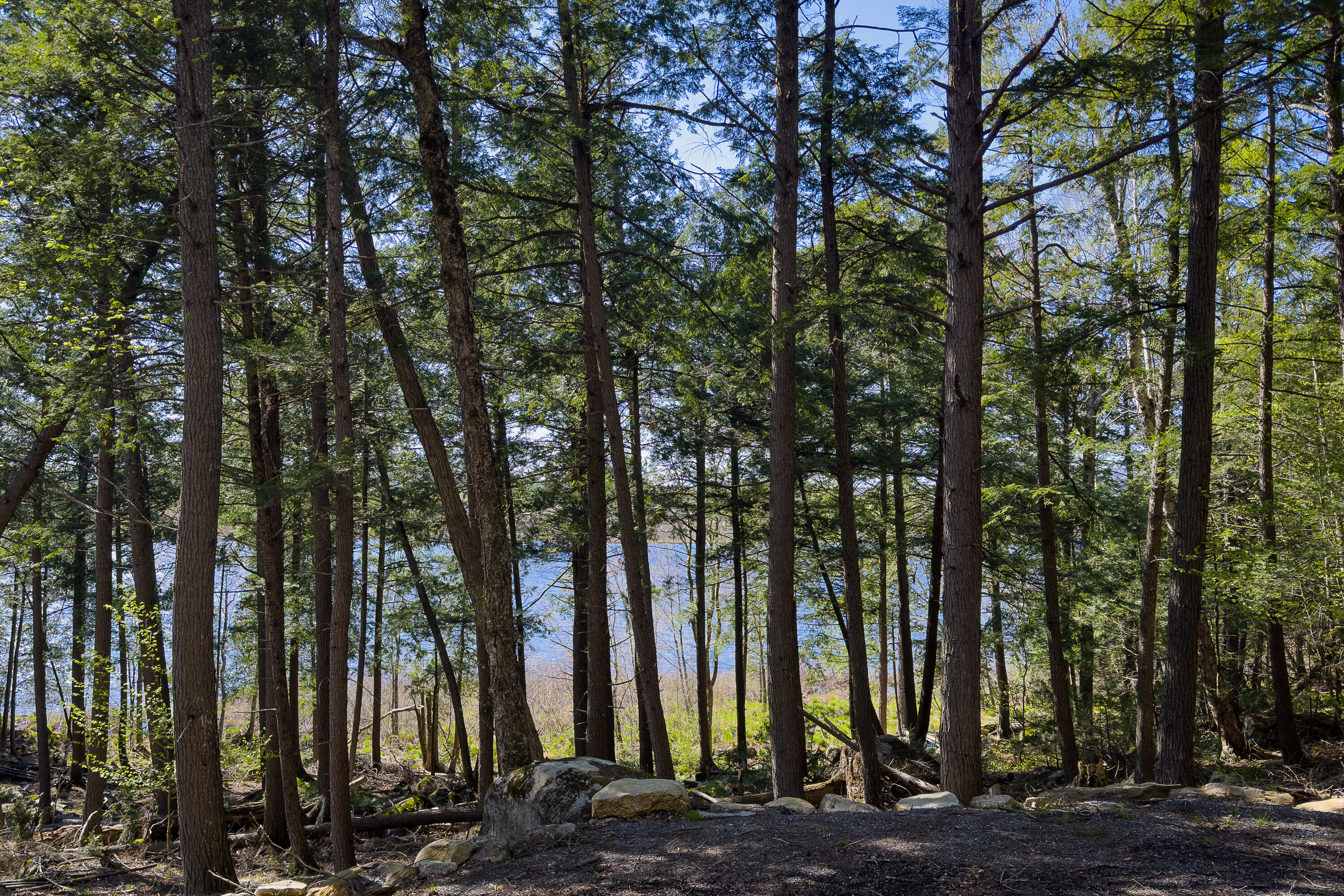Lot 1E Dunn Road