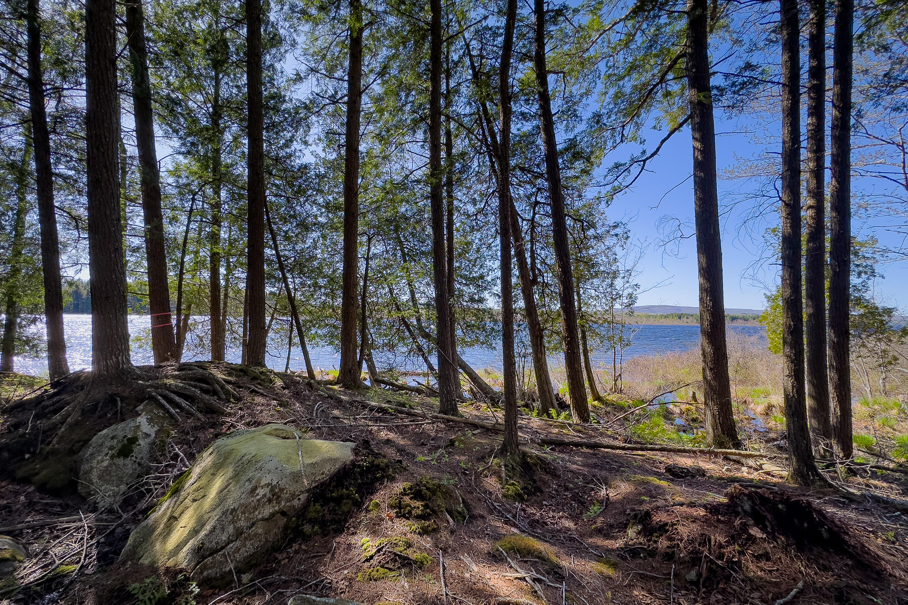 Lot 1E Dunn Road