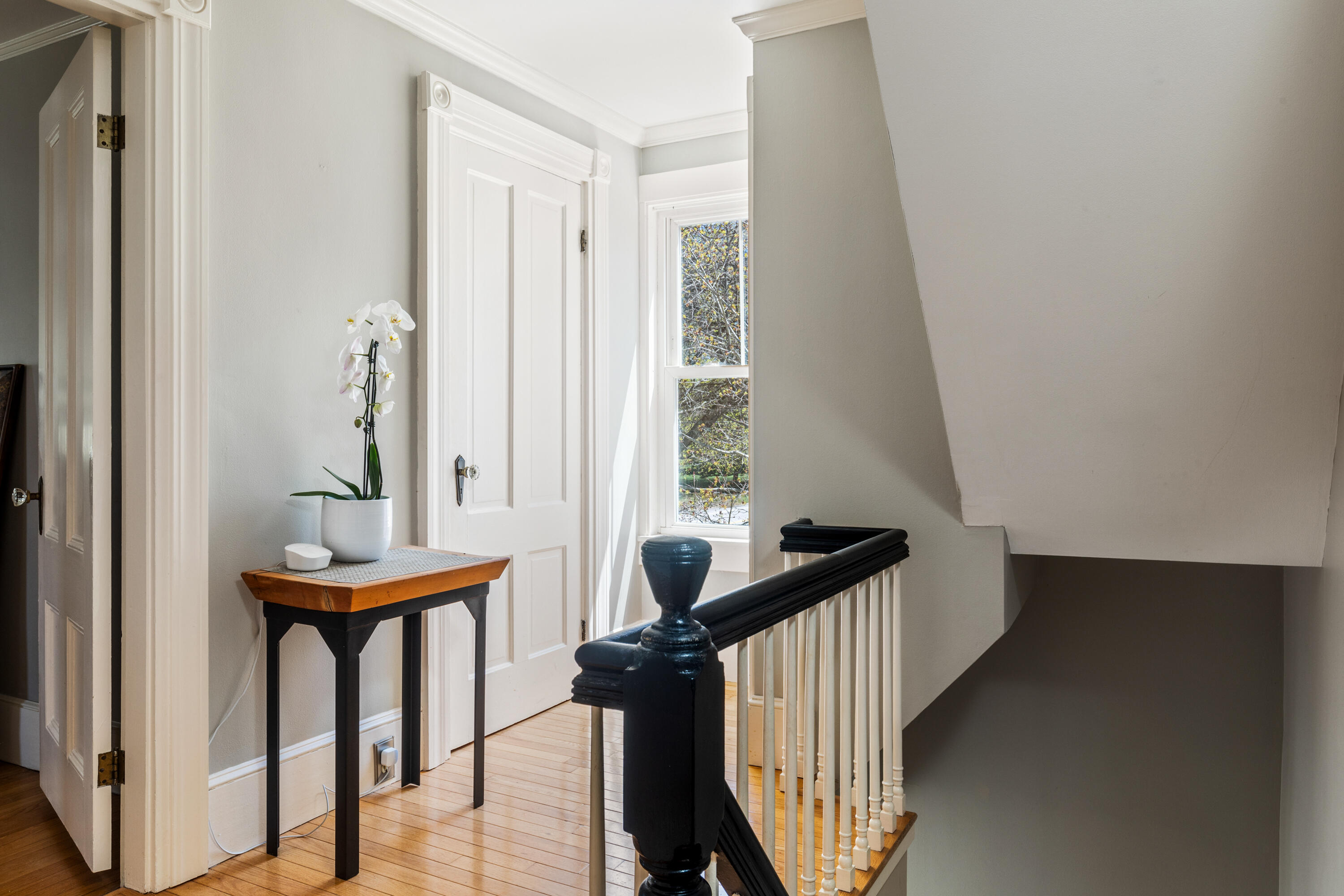 11 Summer Street
