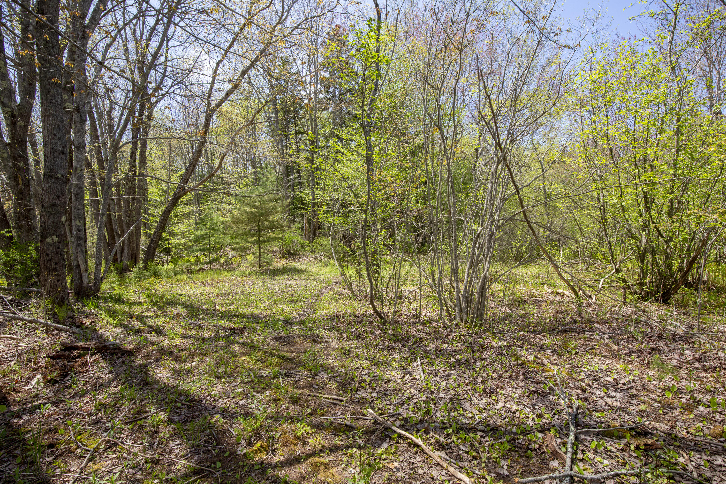 Lot 67-1 Old County Road