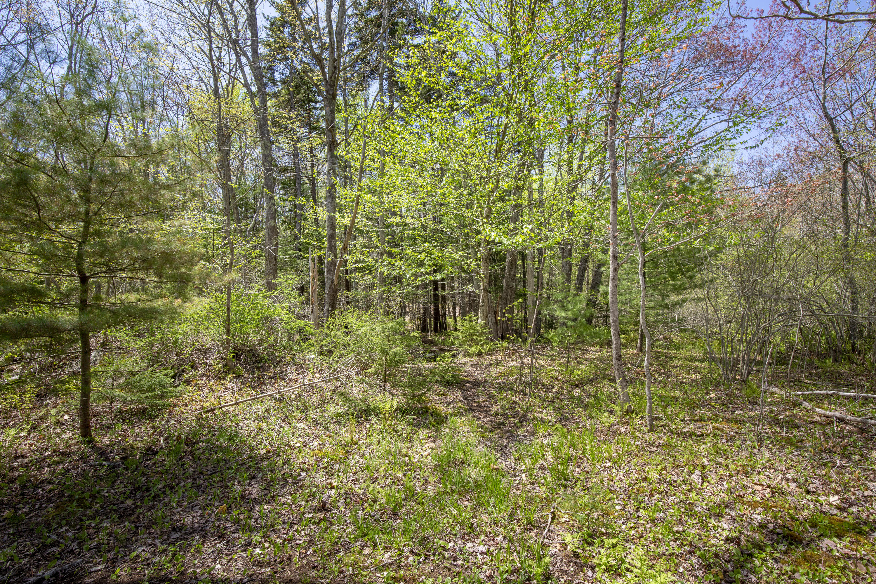 Lot 67-1 Old County Road