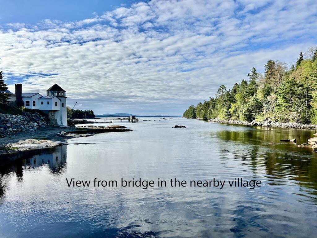 1189 Morgan Bay Road