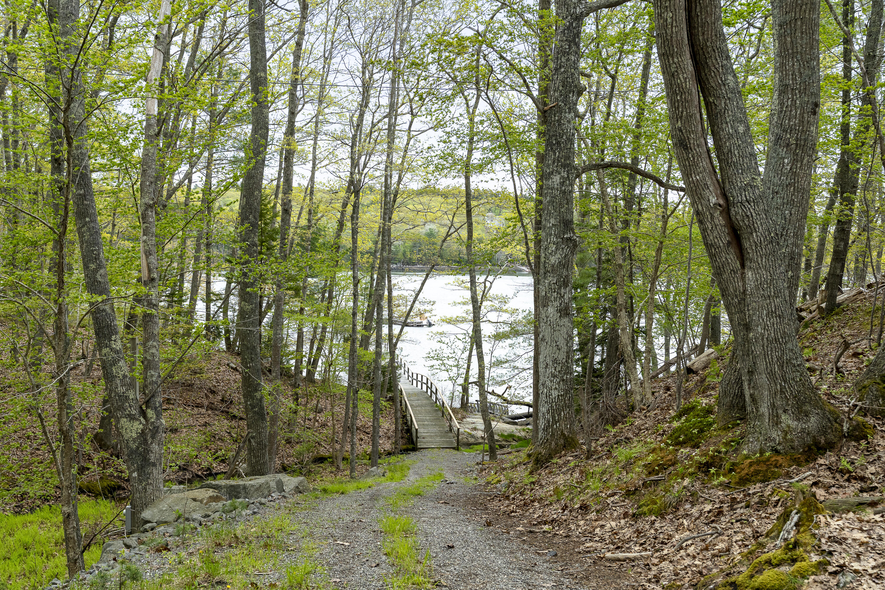 49 Moose Walk Road