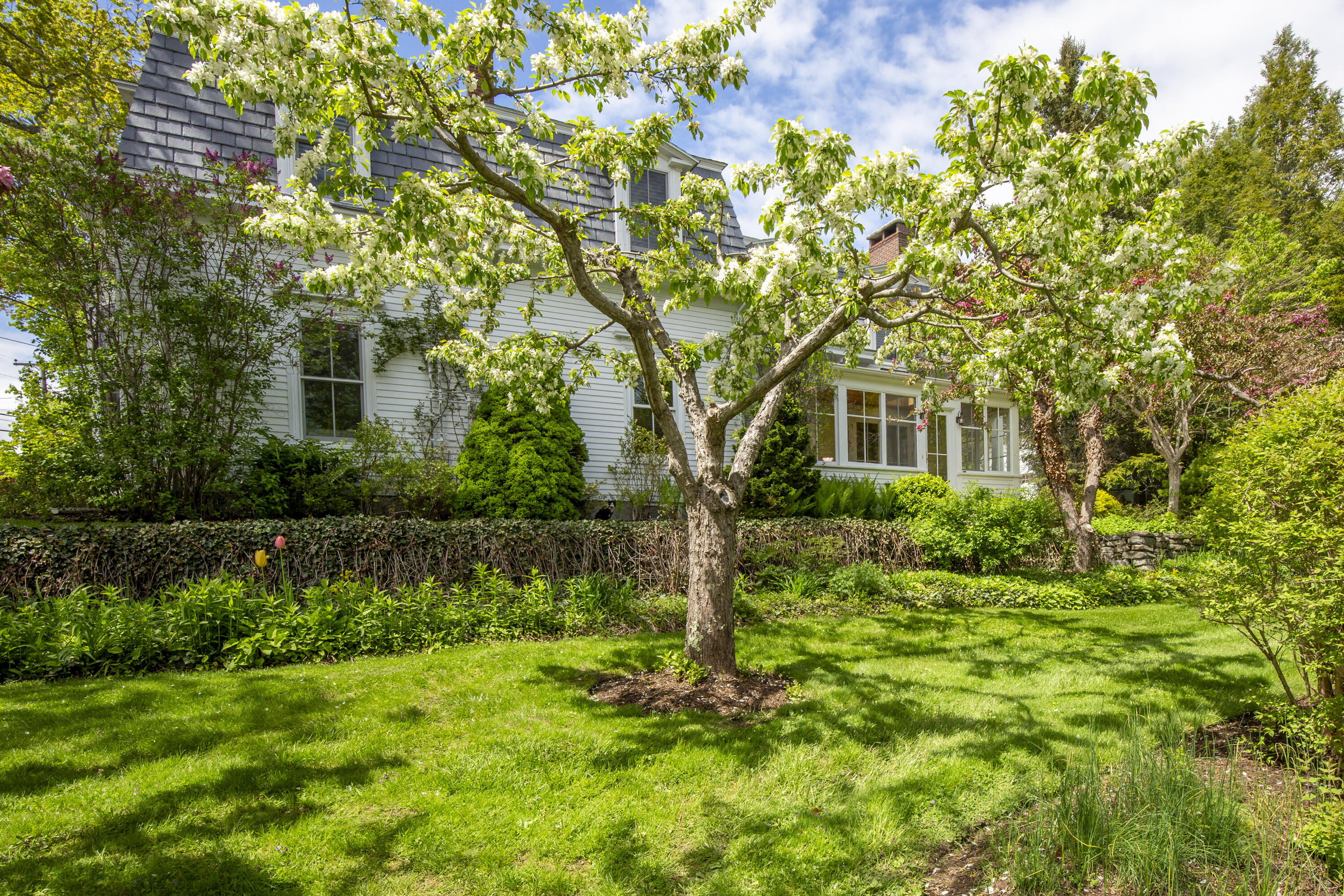 37 Mountain Street