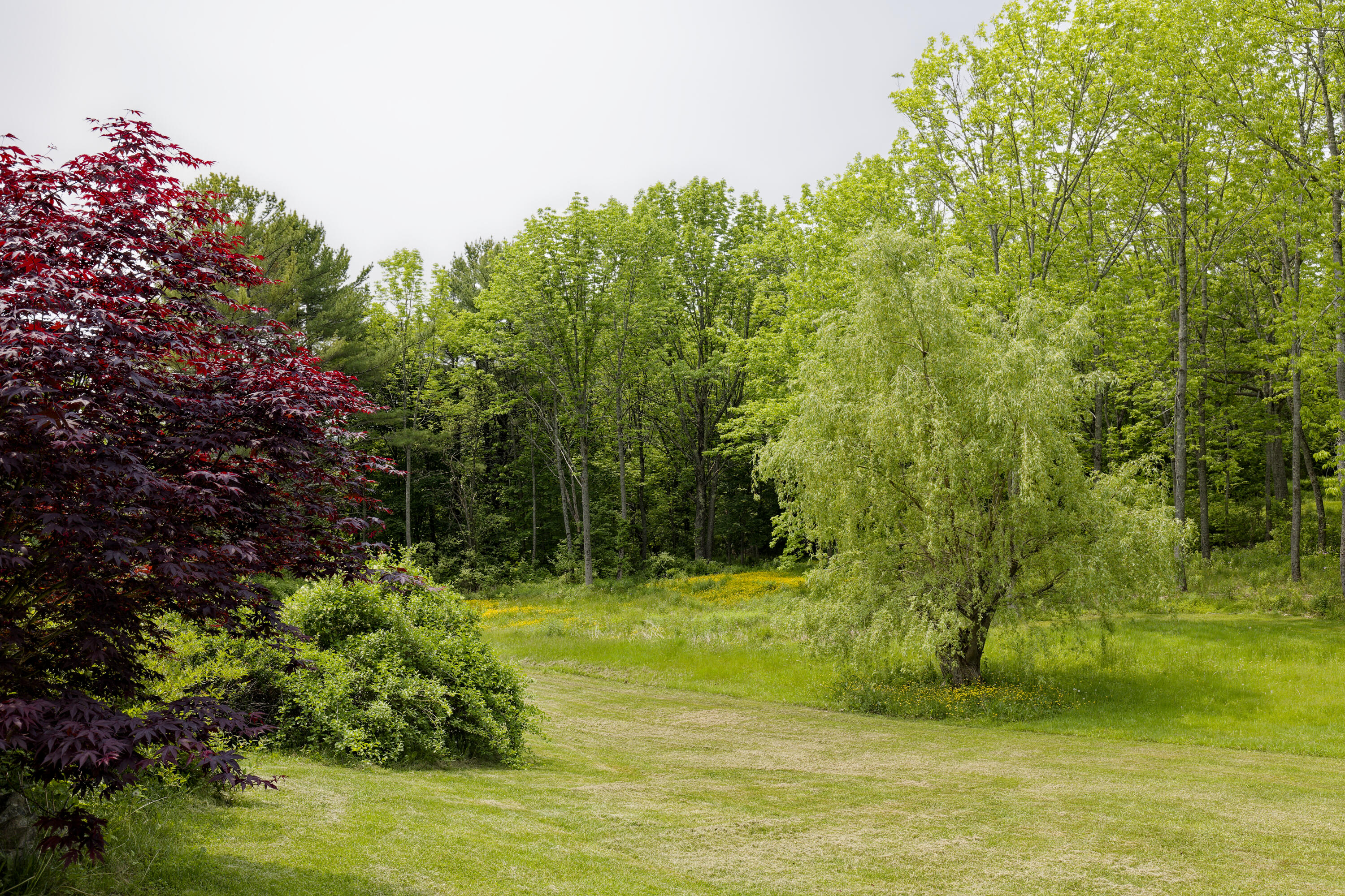 56 Borland Hill Road