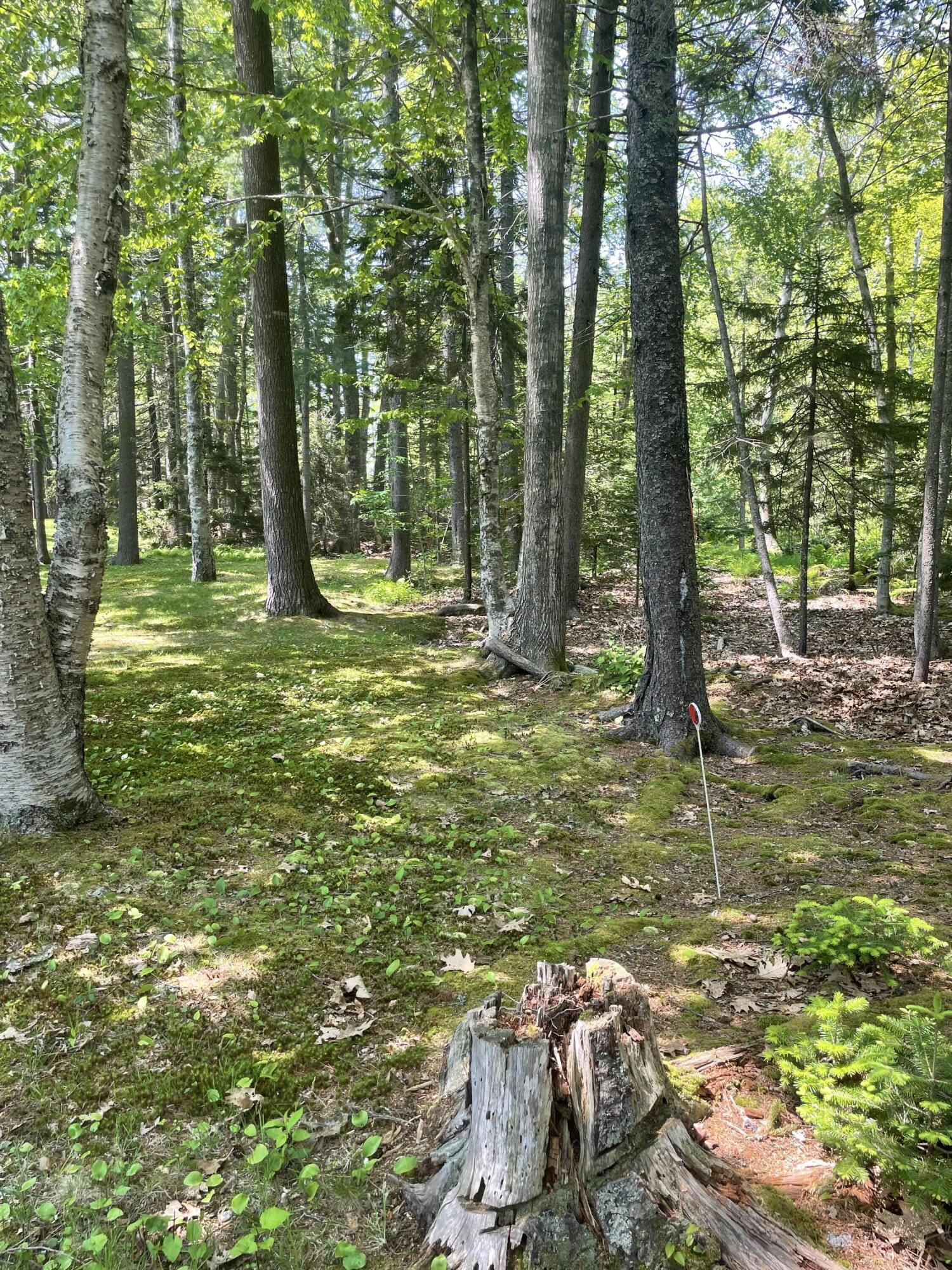386 Lower Flying Point Road