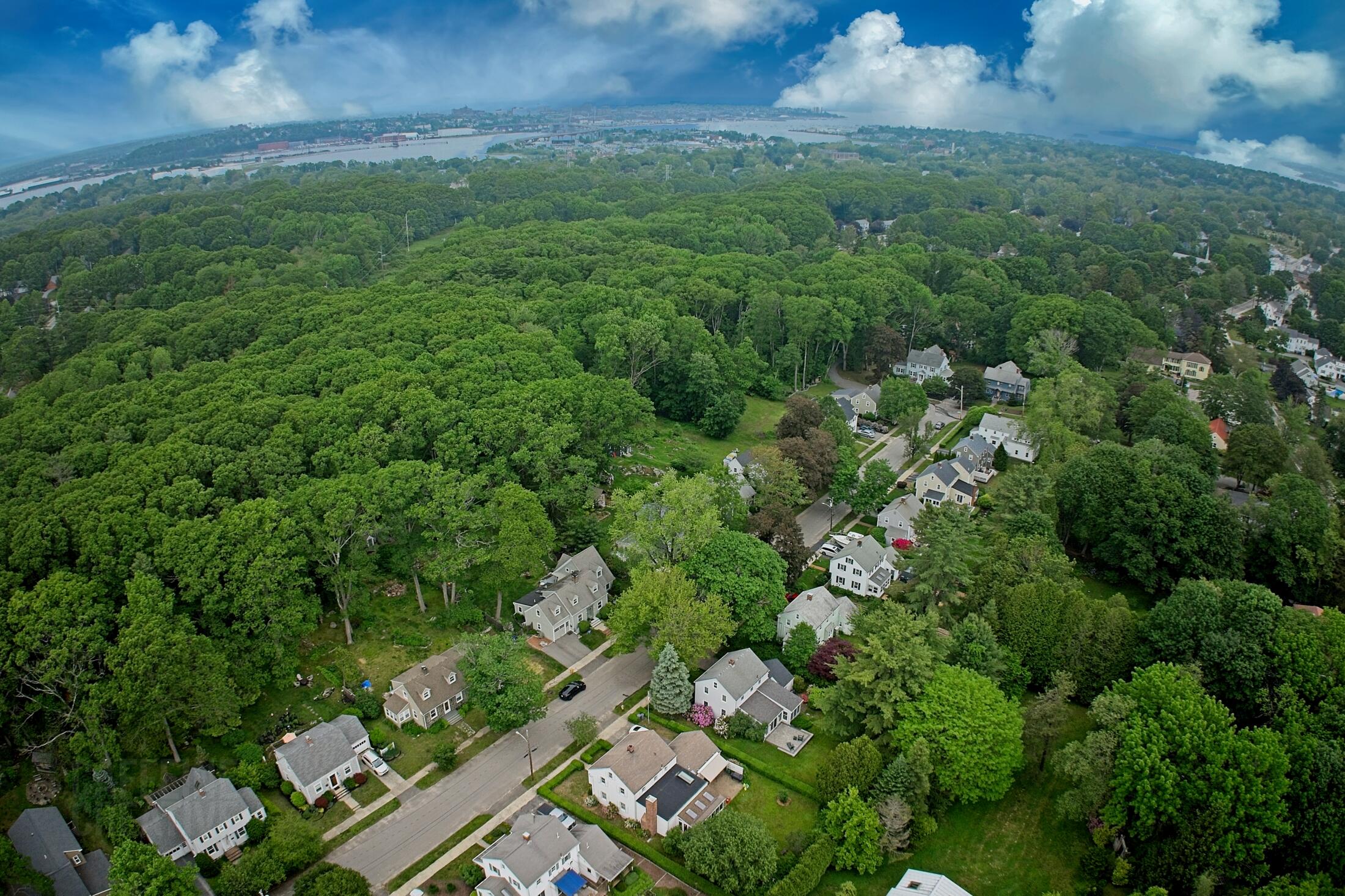 42 Sylvan Road