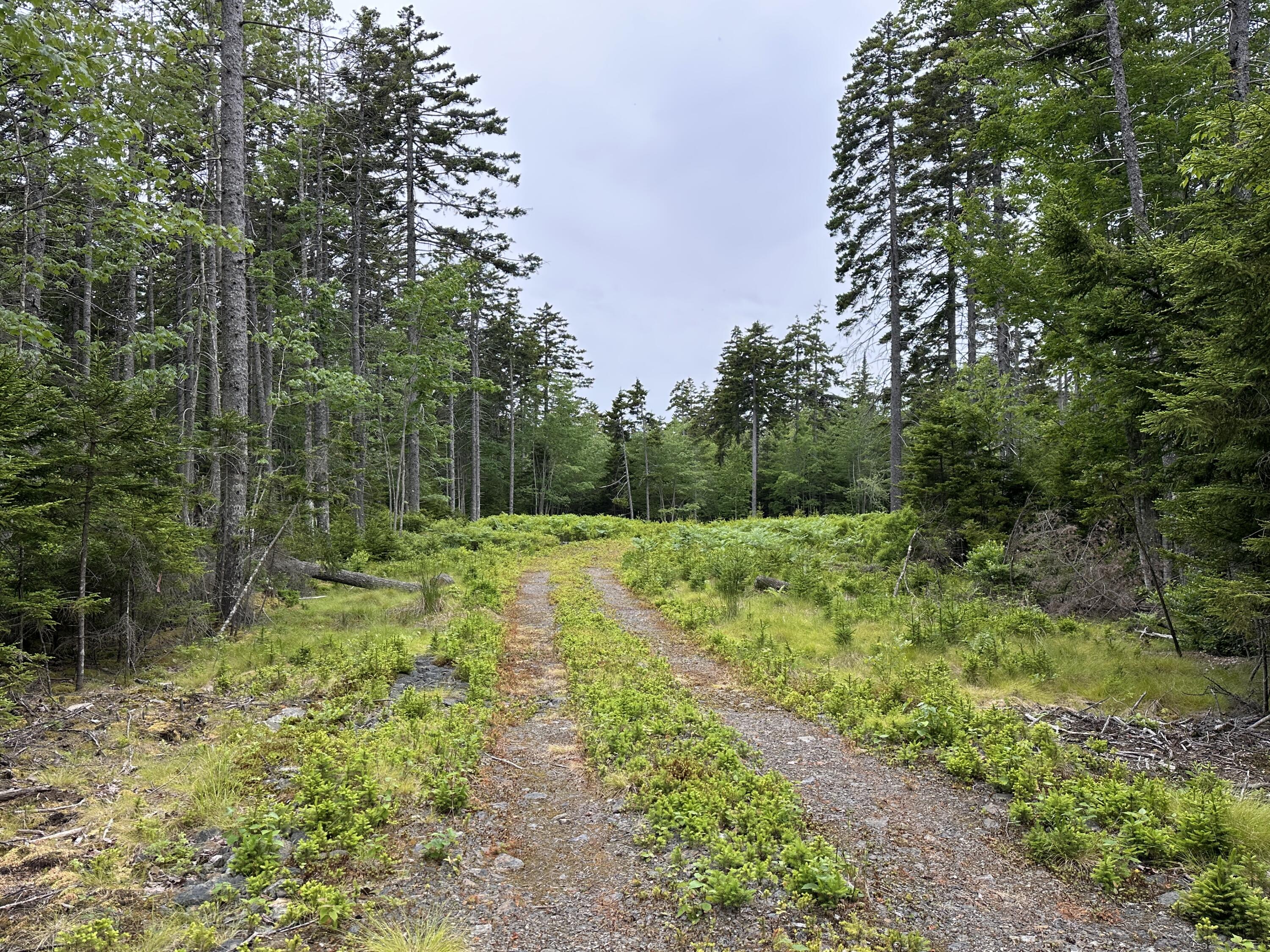 Lot 5 Waymouth Road