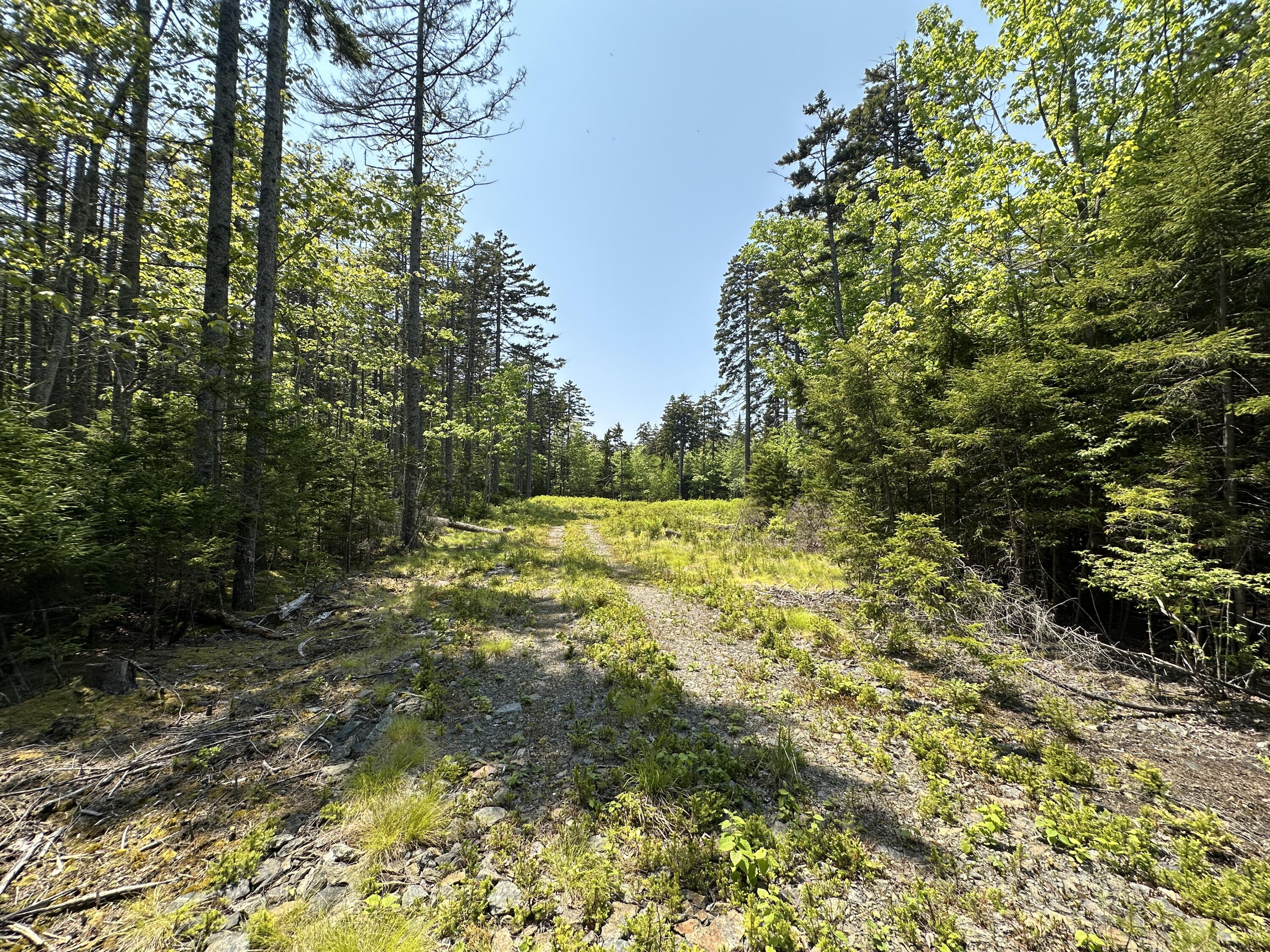 Lot 5 Waymouth Road