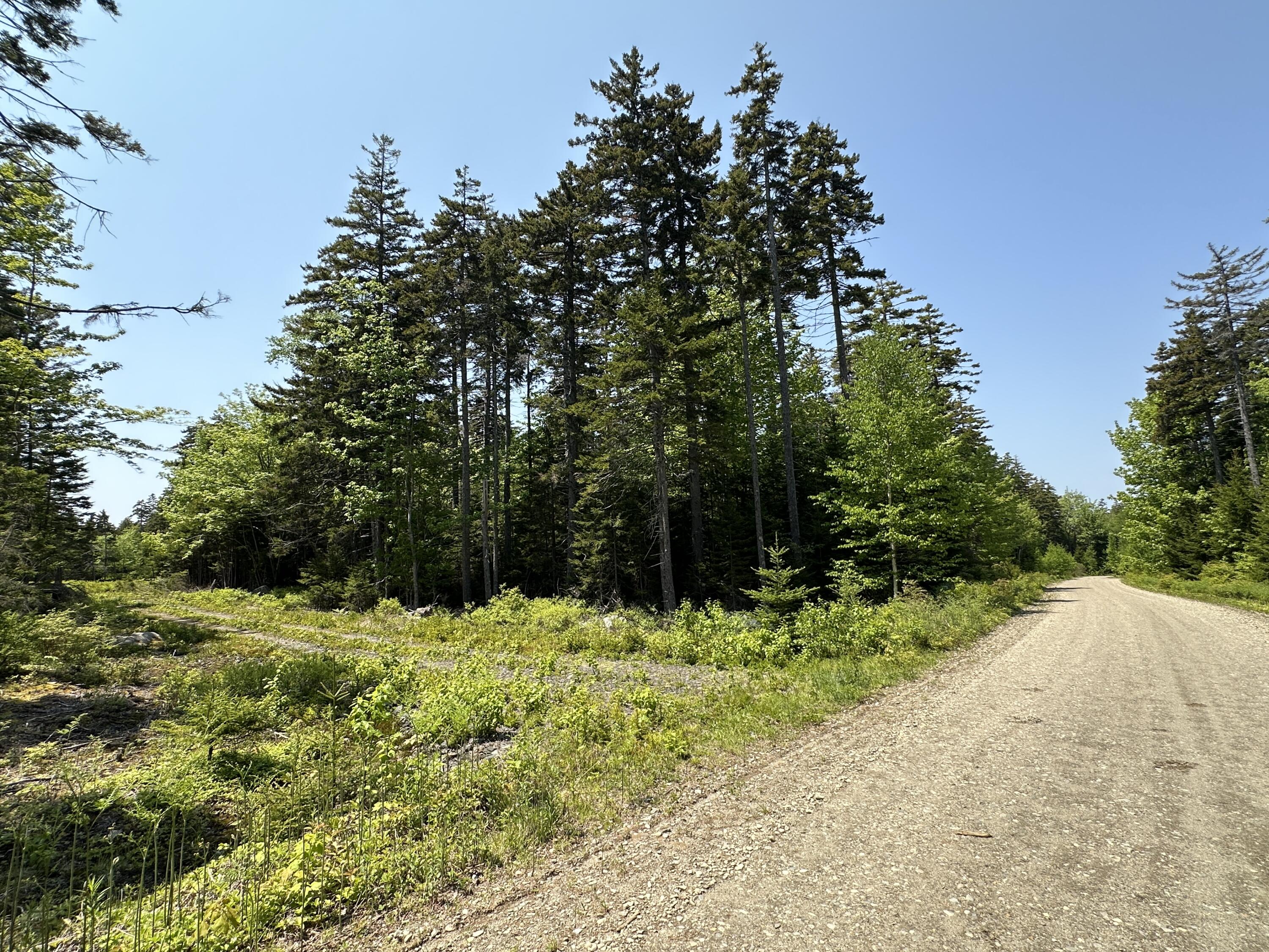 Lot 5 Waymouth Road