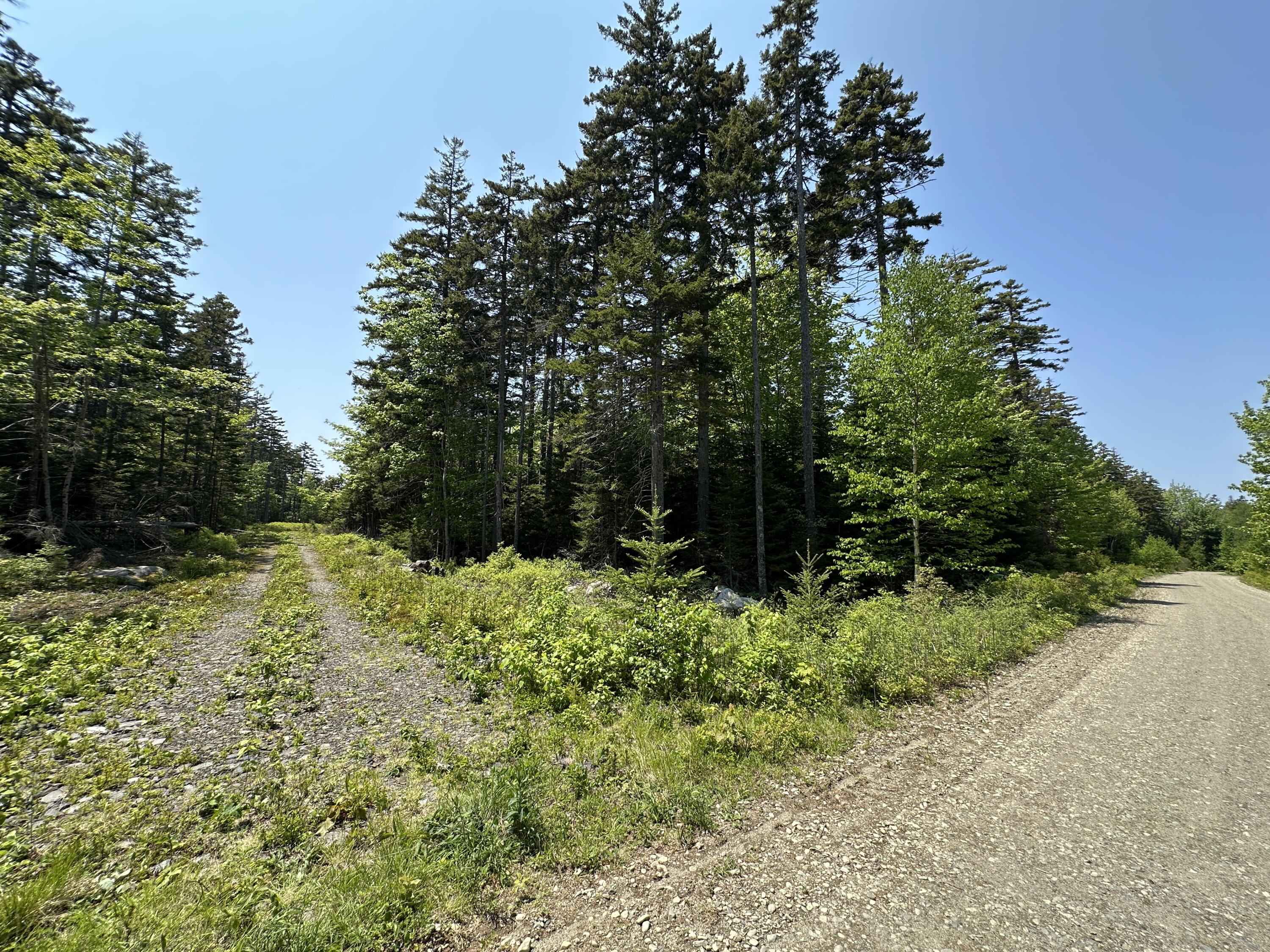 Lot 5 Waymouth Road