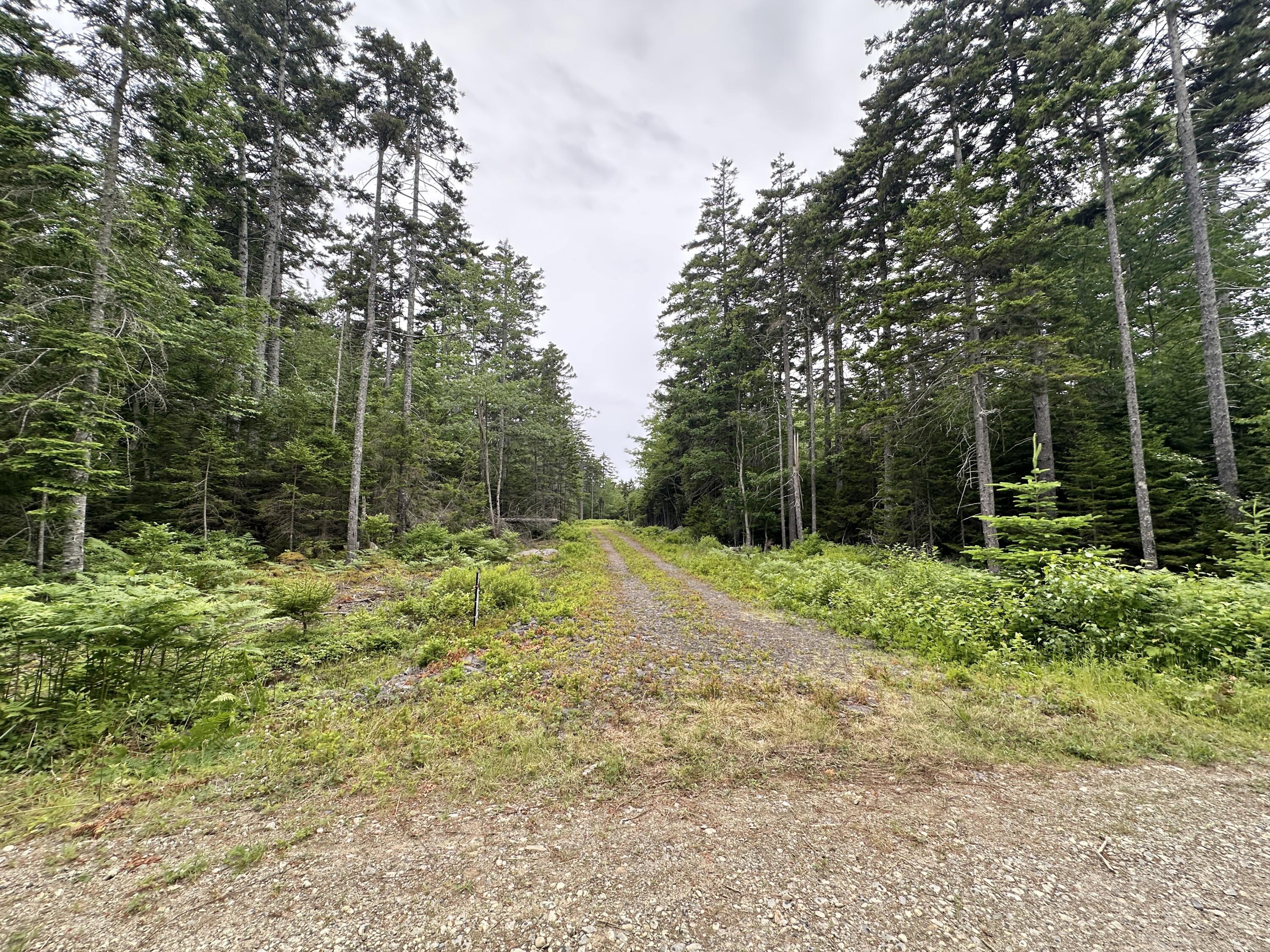 Lot 5 Waymouth Road