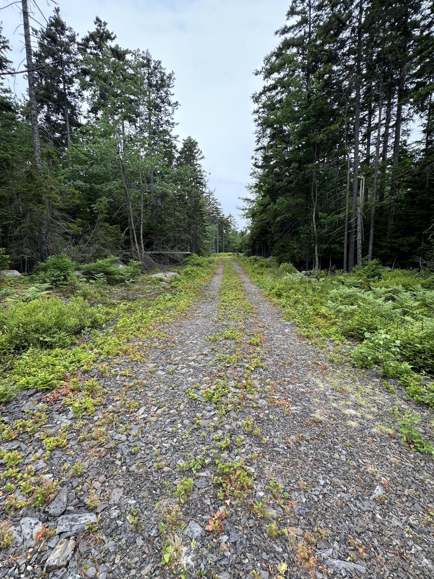 Lot 5 Waymouth Road