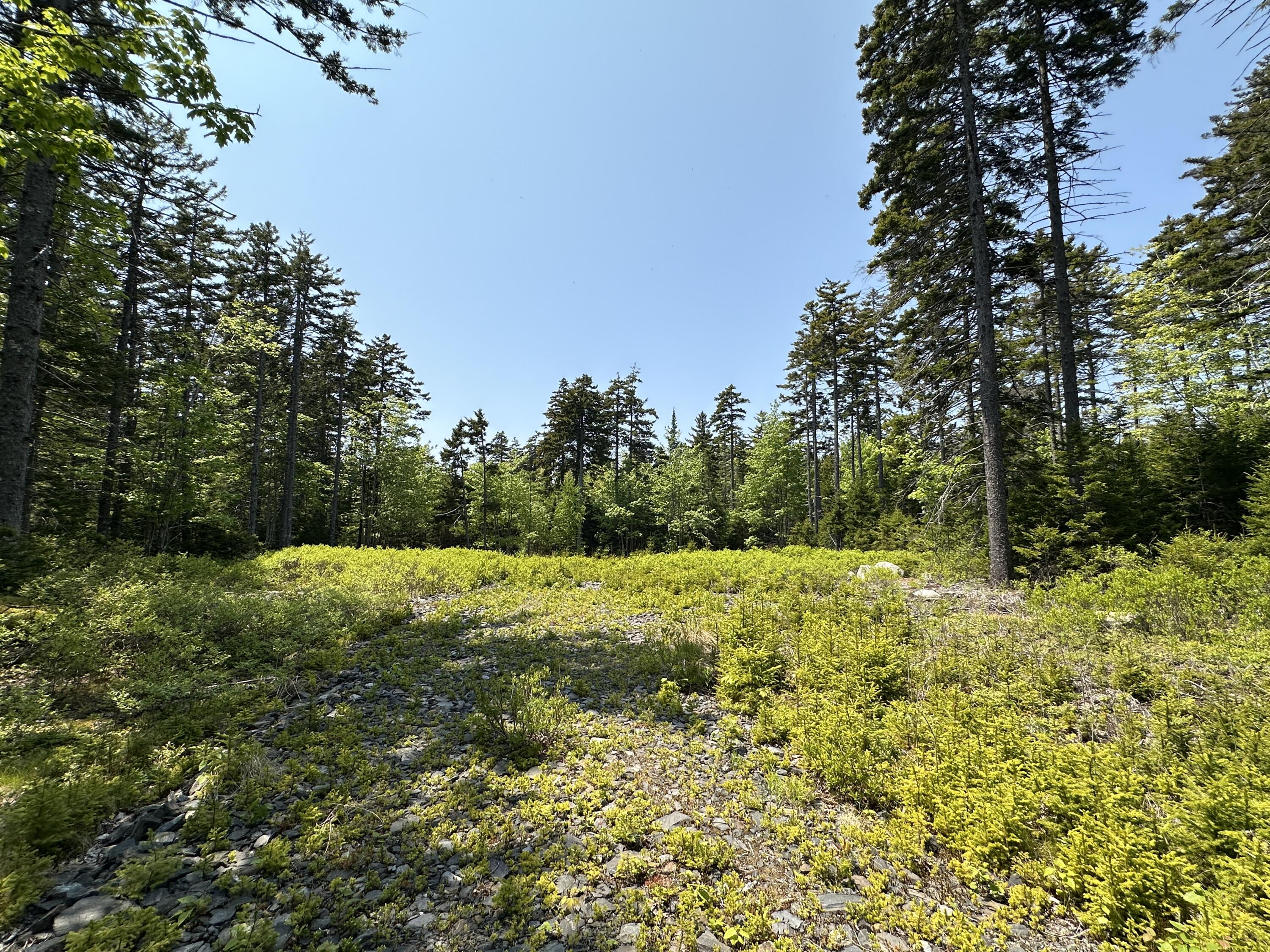 Lot 5 Waymouth Road