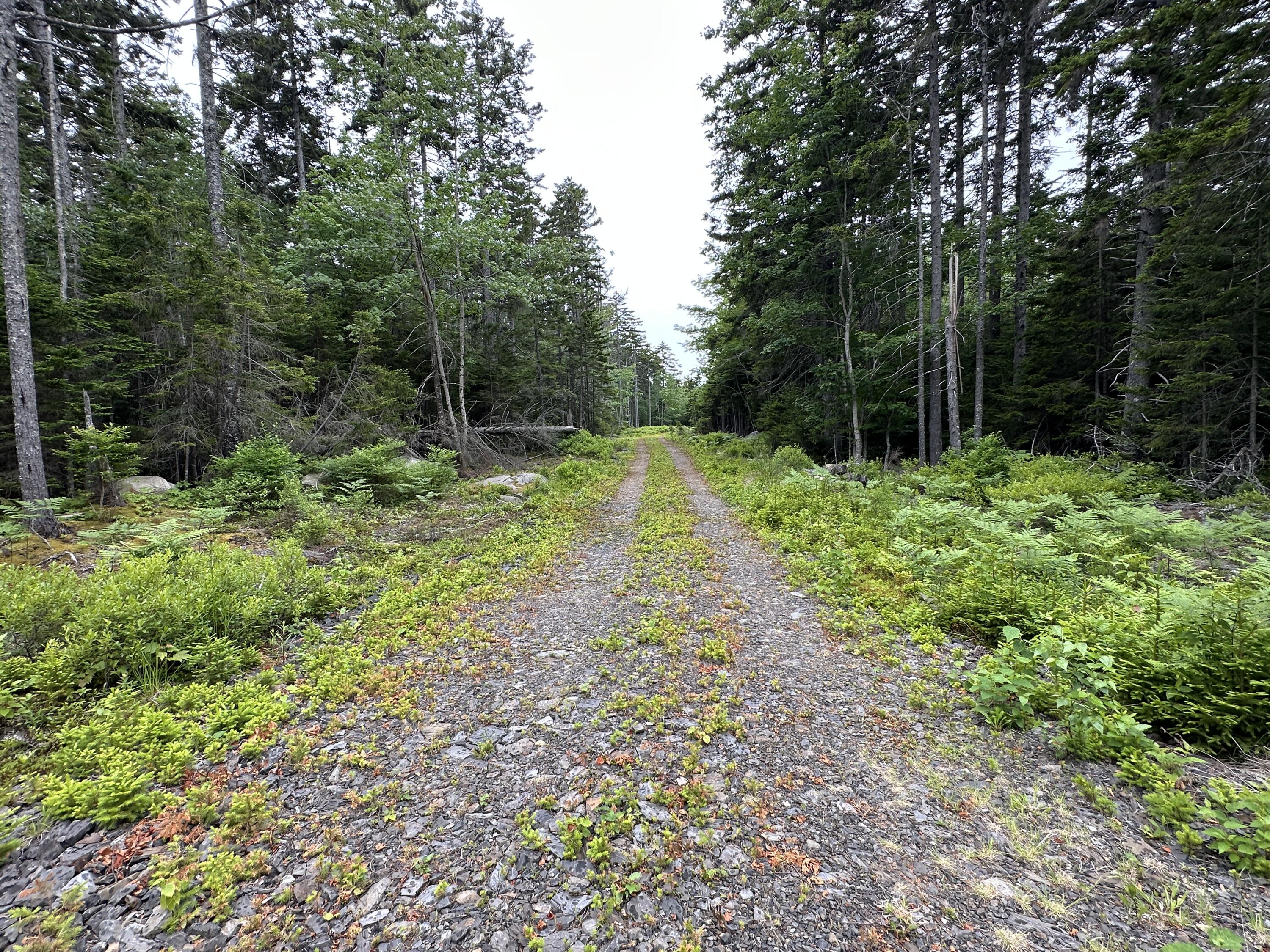 Lot 5 Waymouth Road