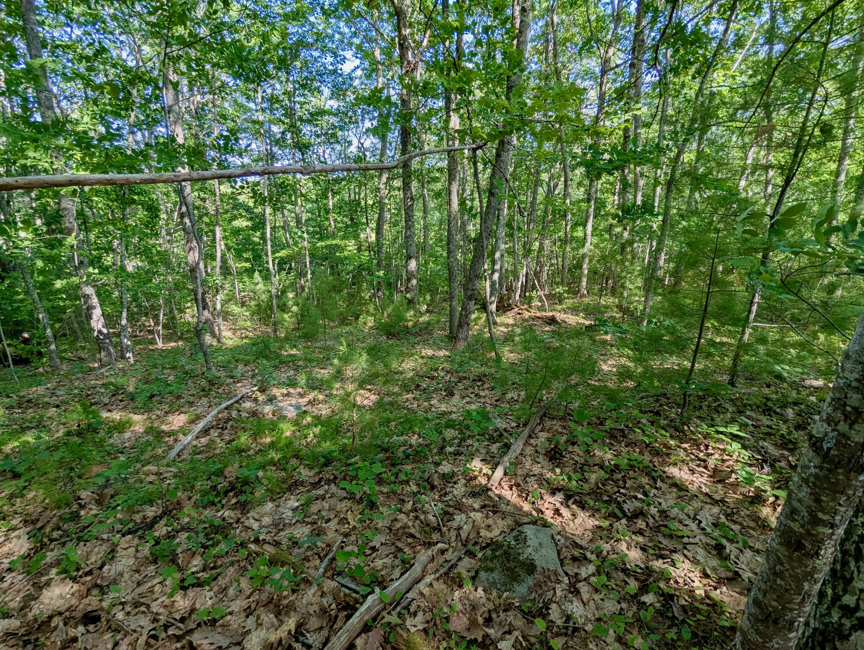 Lot TBD West Hamlet Road
