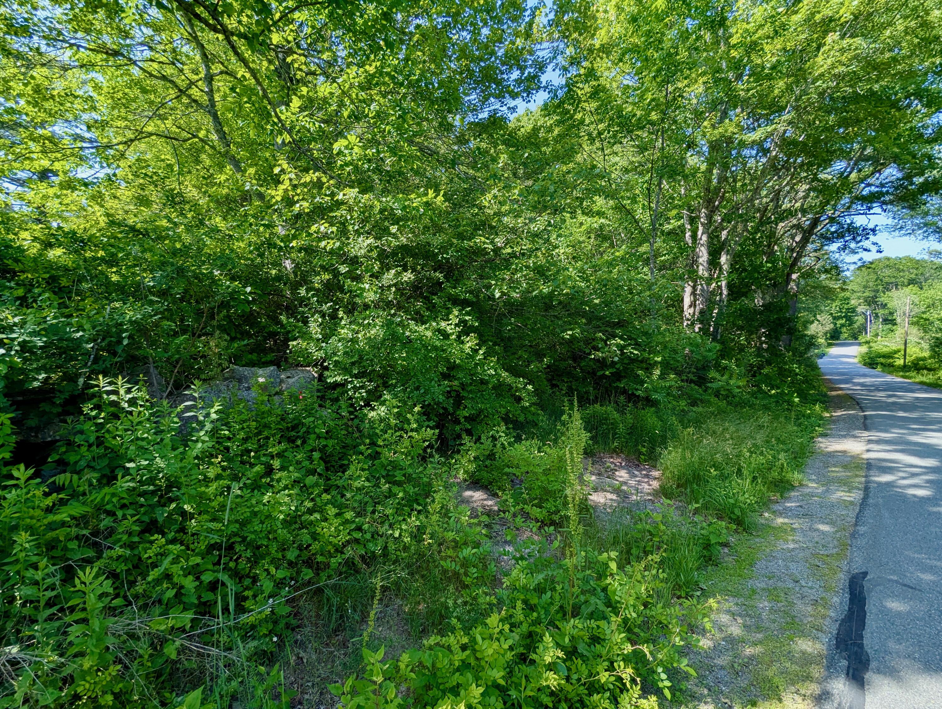 Lot TBD West Hamlet Road