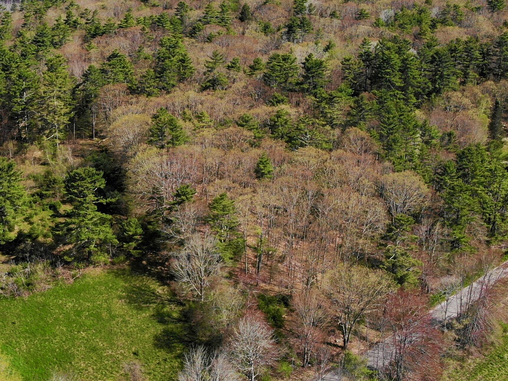 Lot TBD West Hamlet Road
