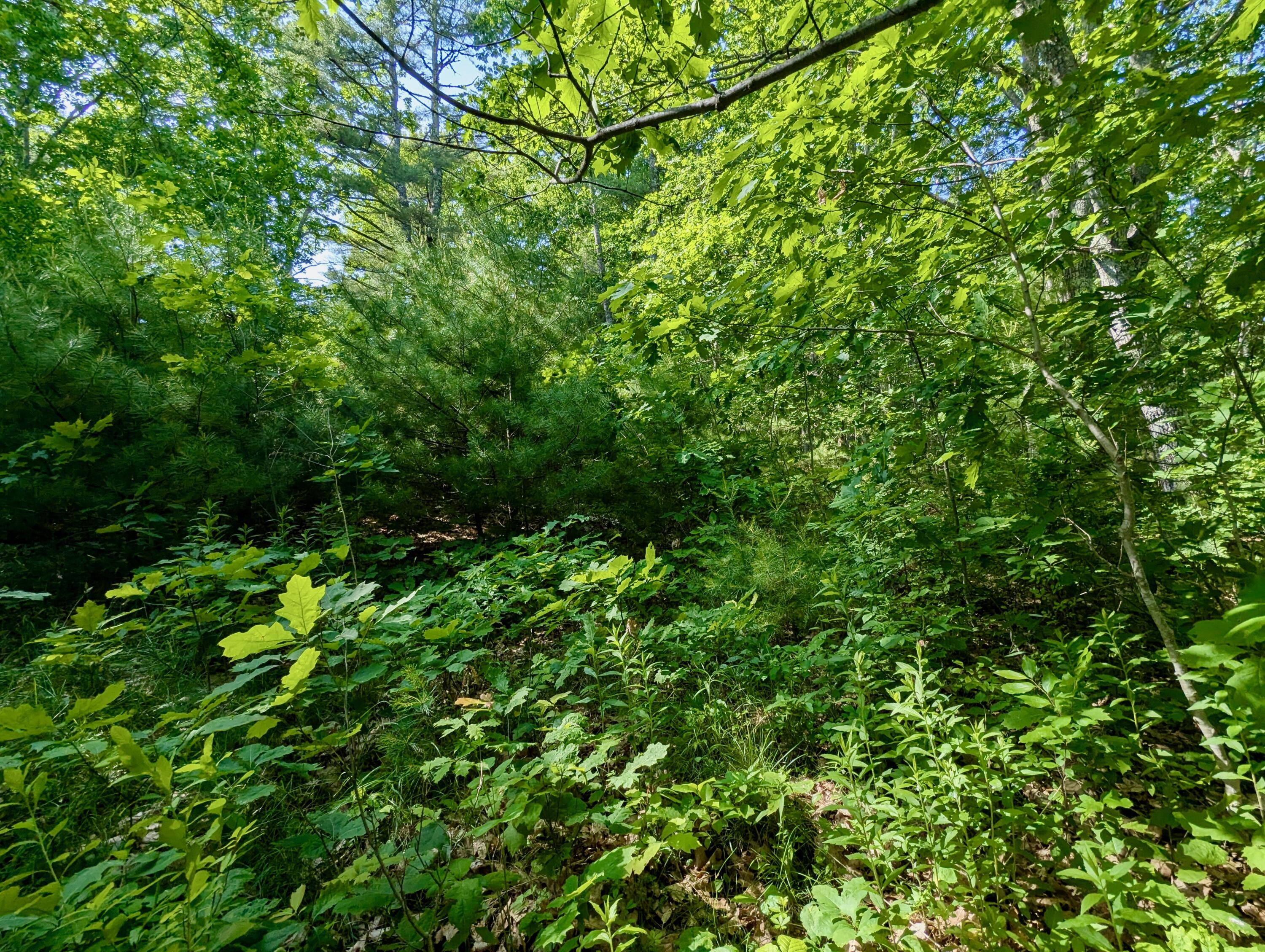 Lot TBD West Hamlet Road