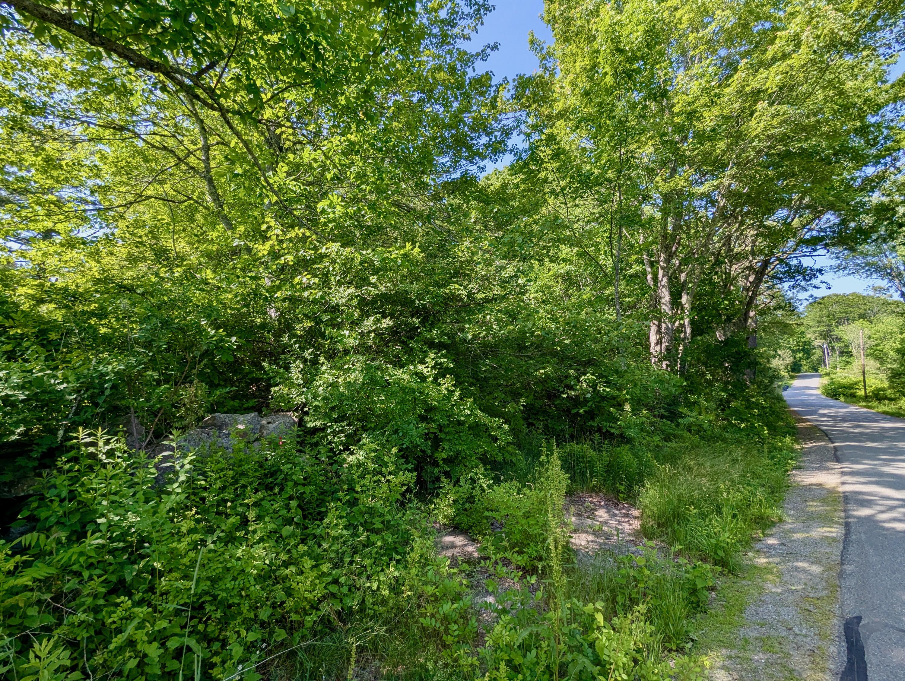 Lot TBD West Hamlet Road