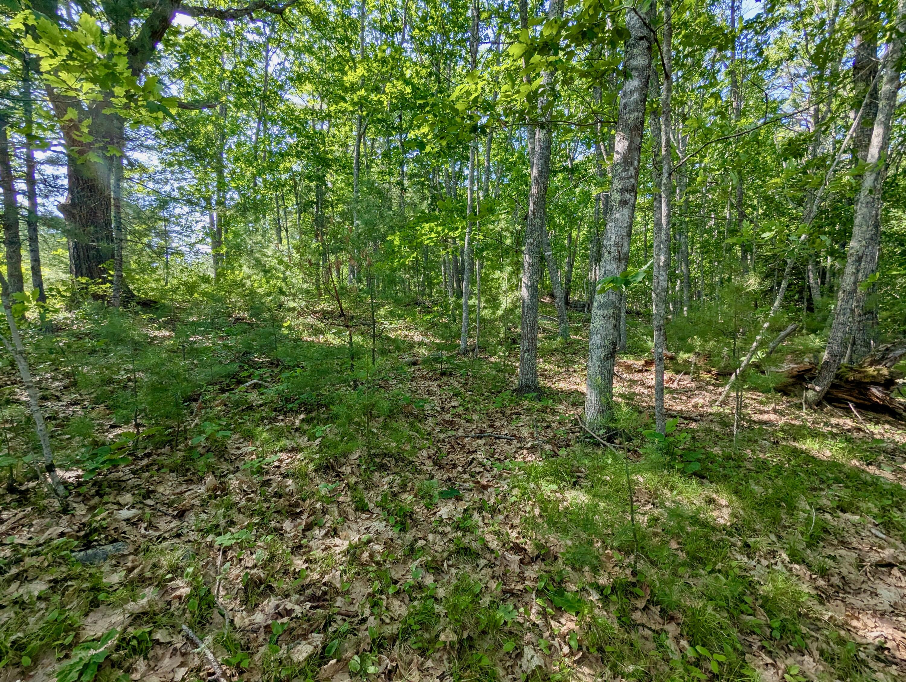 Lot TBD West Hamlet Road